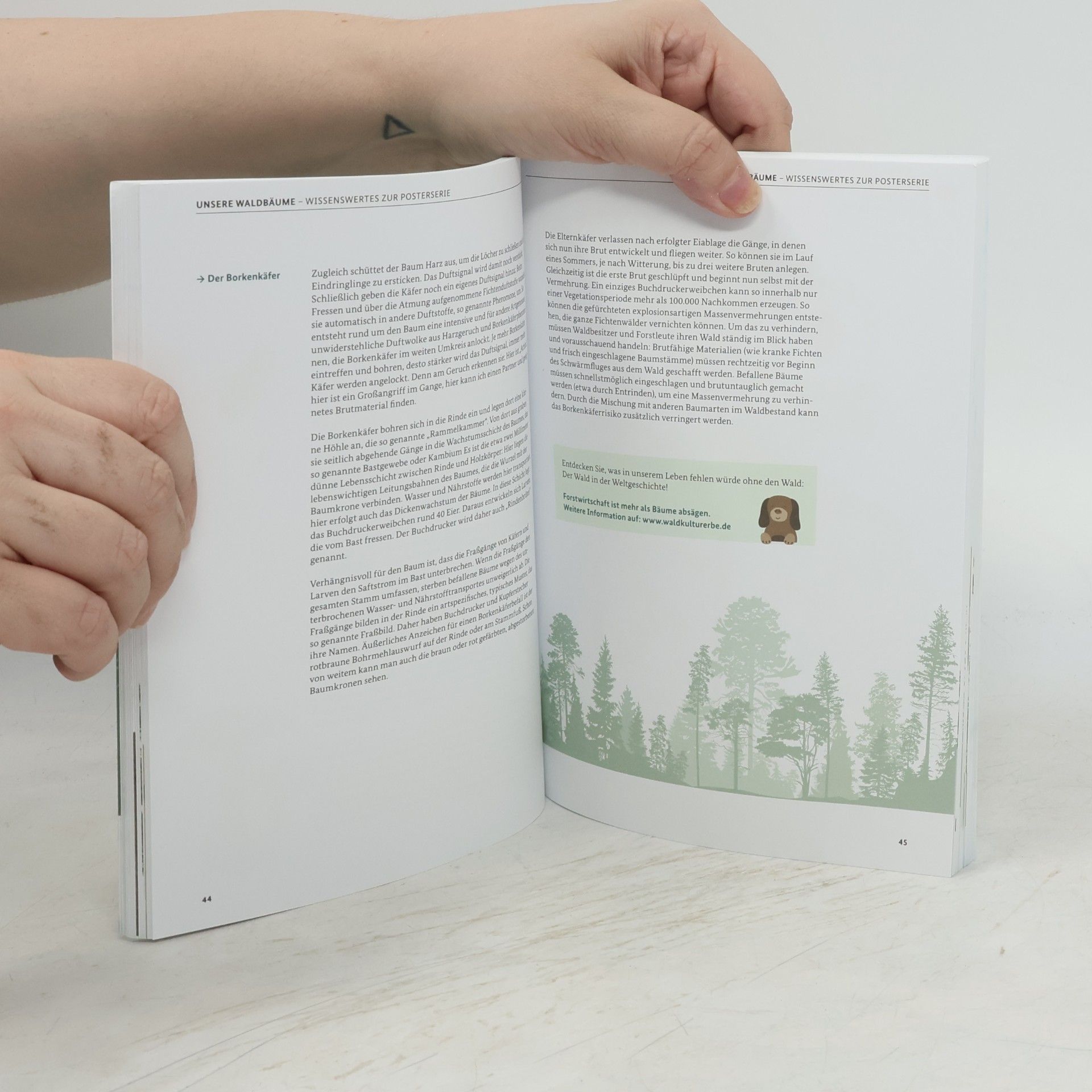 Autorenkollektiv Unsere Waldbäume
