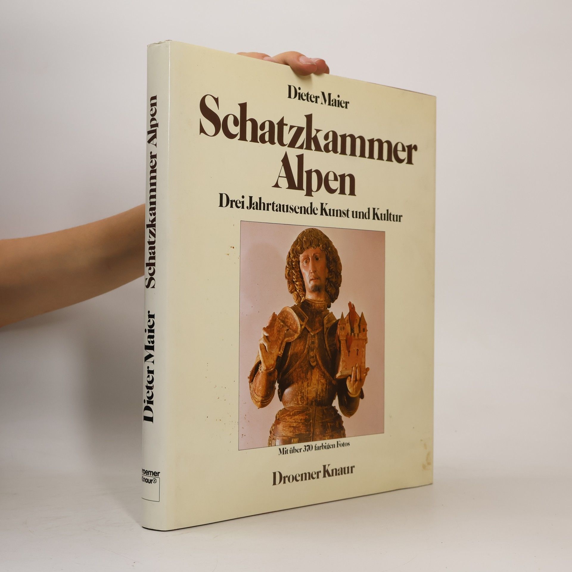 Dieter Maier Schatzkammer Alpen