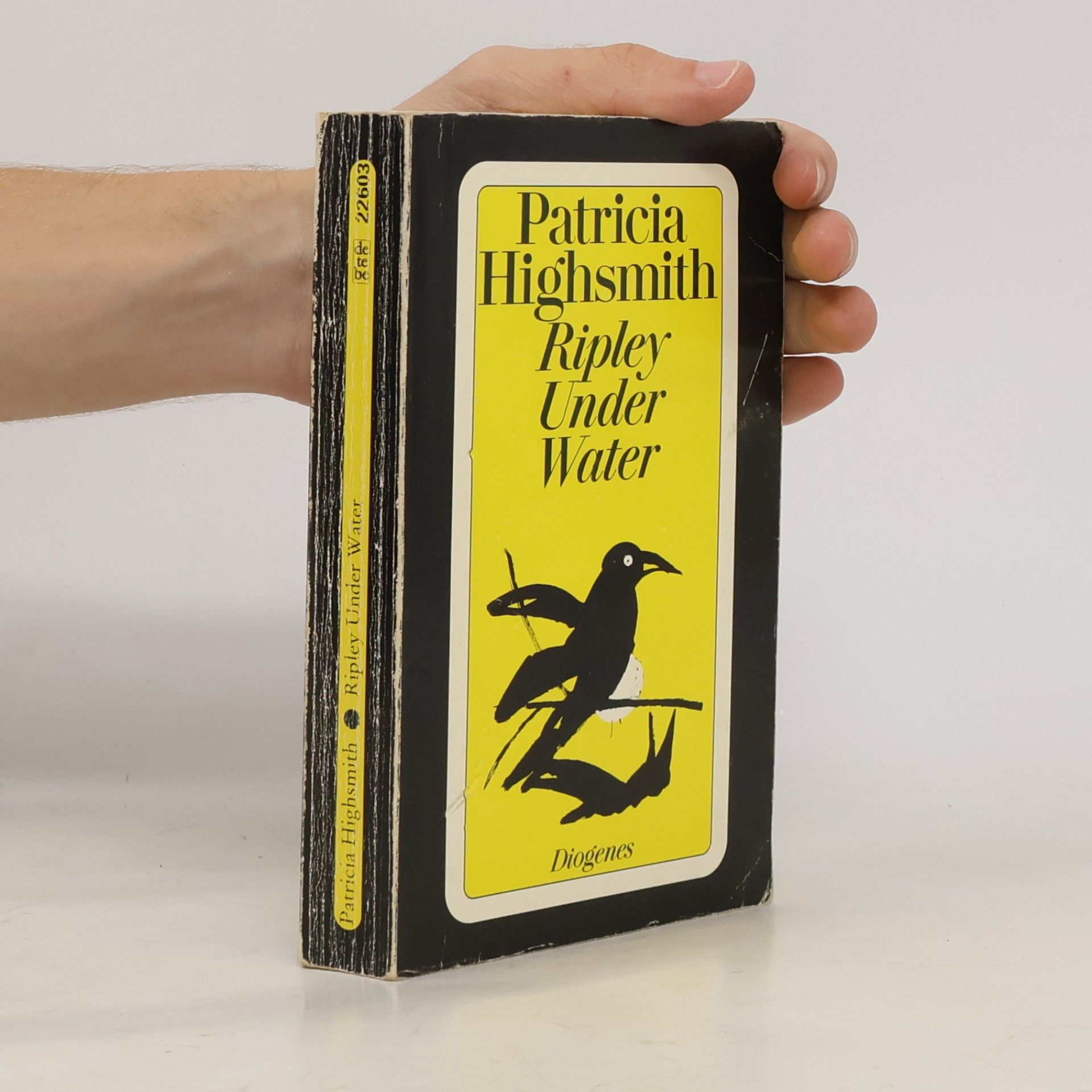 Patricia Highsmith Ripley Under Water