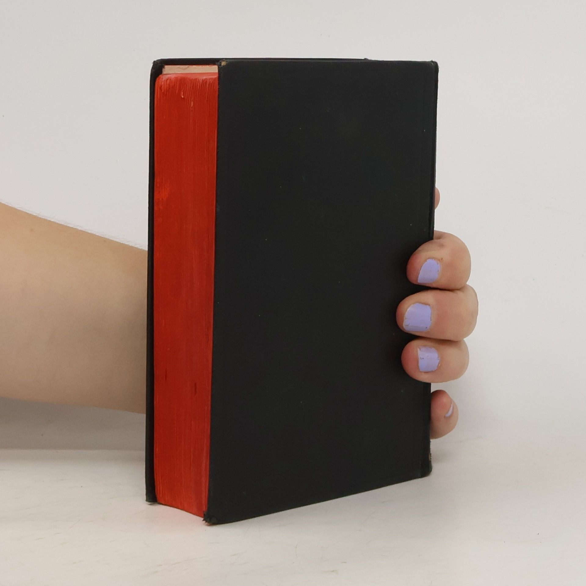 Martin Luther King Jr. Die Heilige Schrift