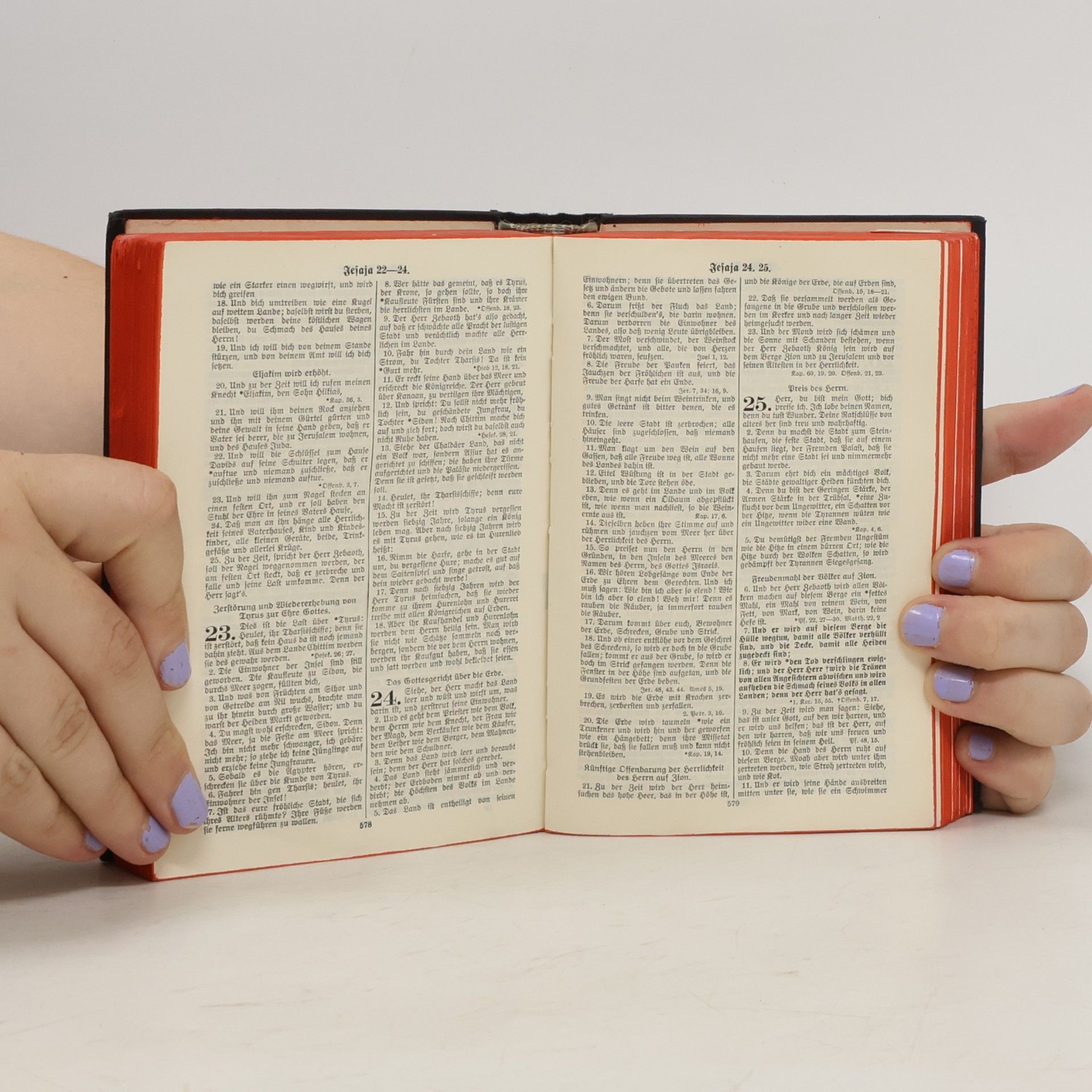 Martin Luther King Jr. Die Heilige Schrift