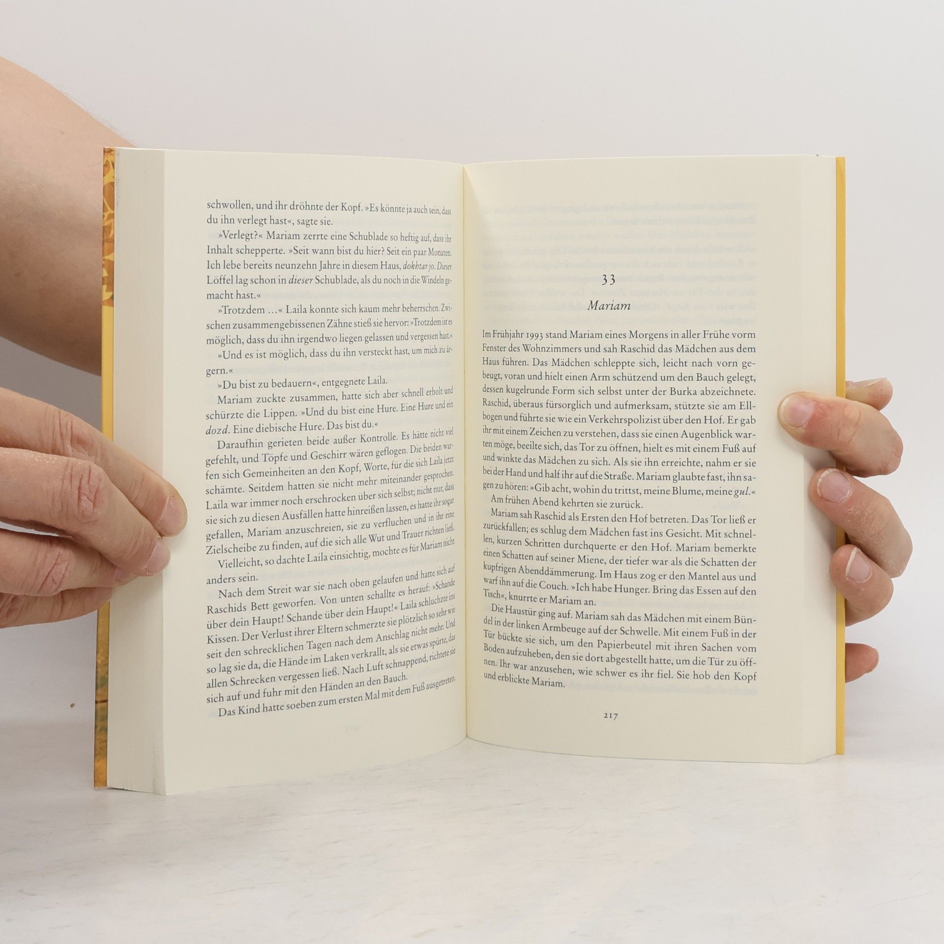 Khaled Hosseini Tausend strahlende Sonnen
