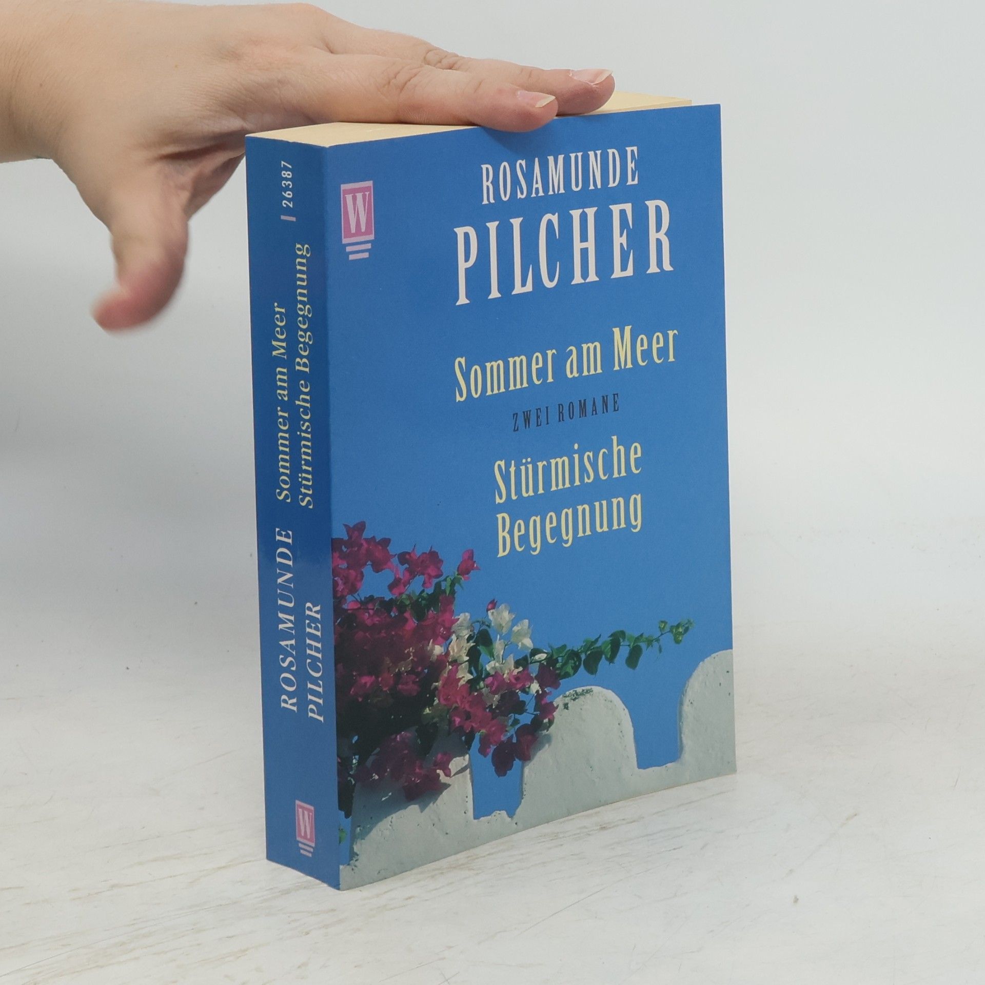 Rosamunde Pilcher Sommer am Meer. Stürmische Begegnung