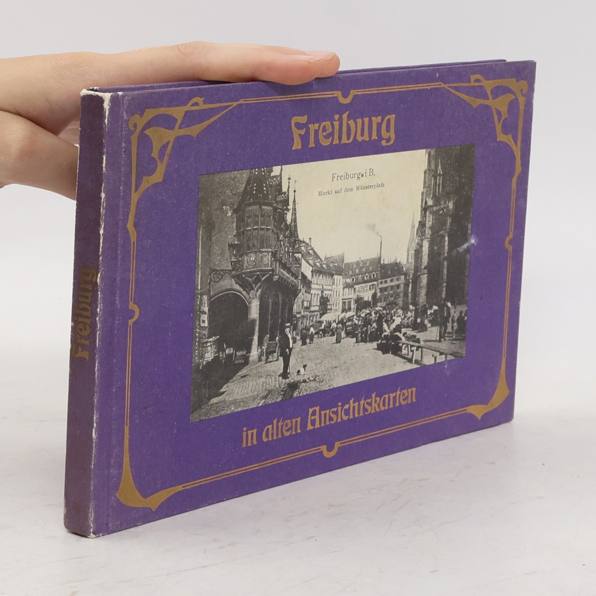 Wolfgang Herterich Freiburg in alten Ansichtskarten
