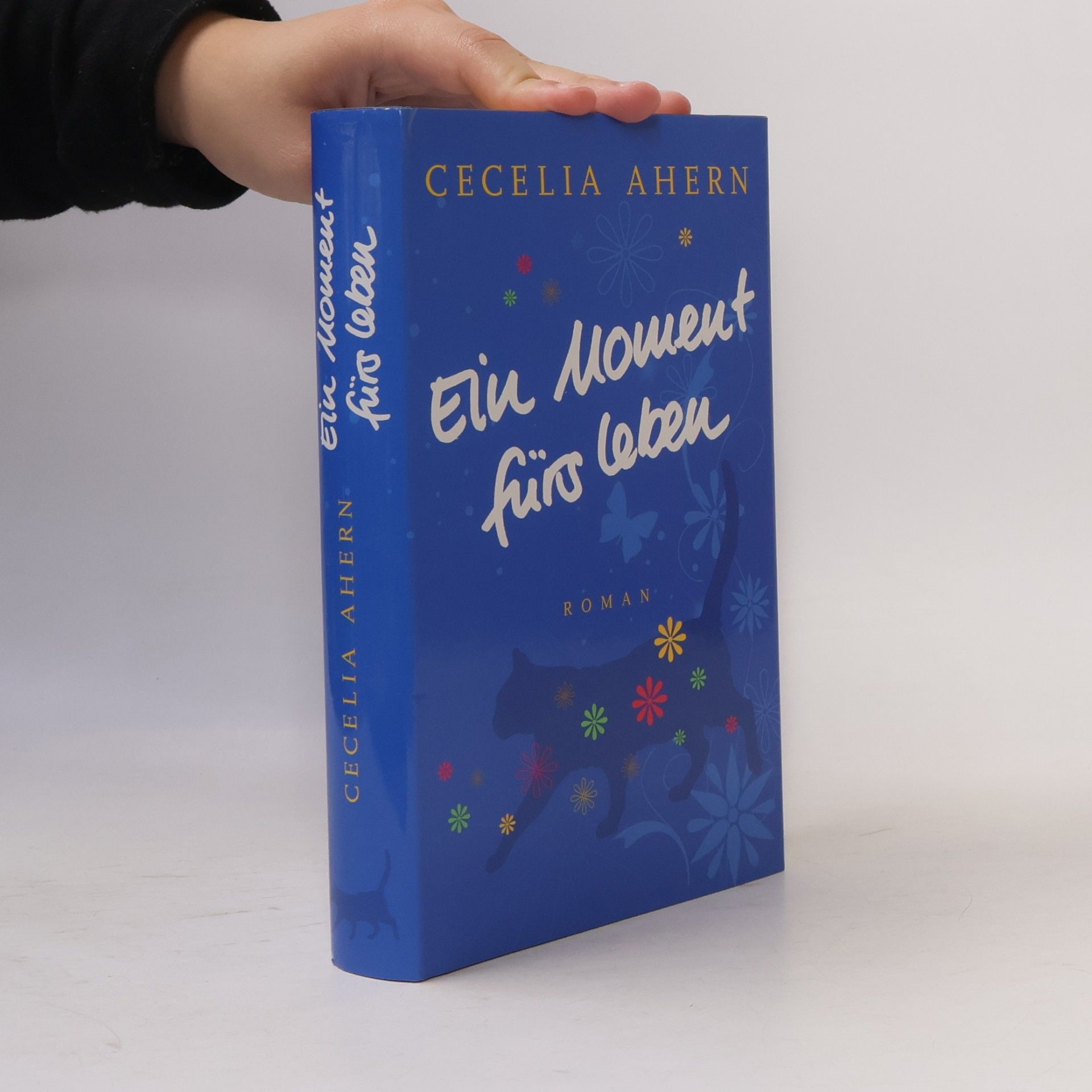 Cecelia Ahern Ein Moment fürs Leben