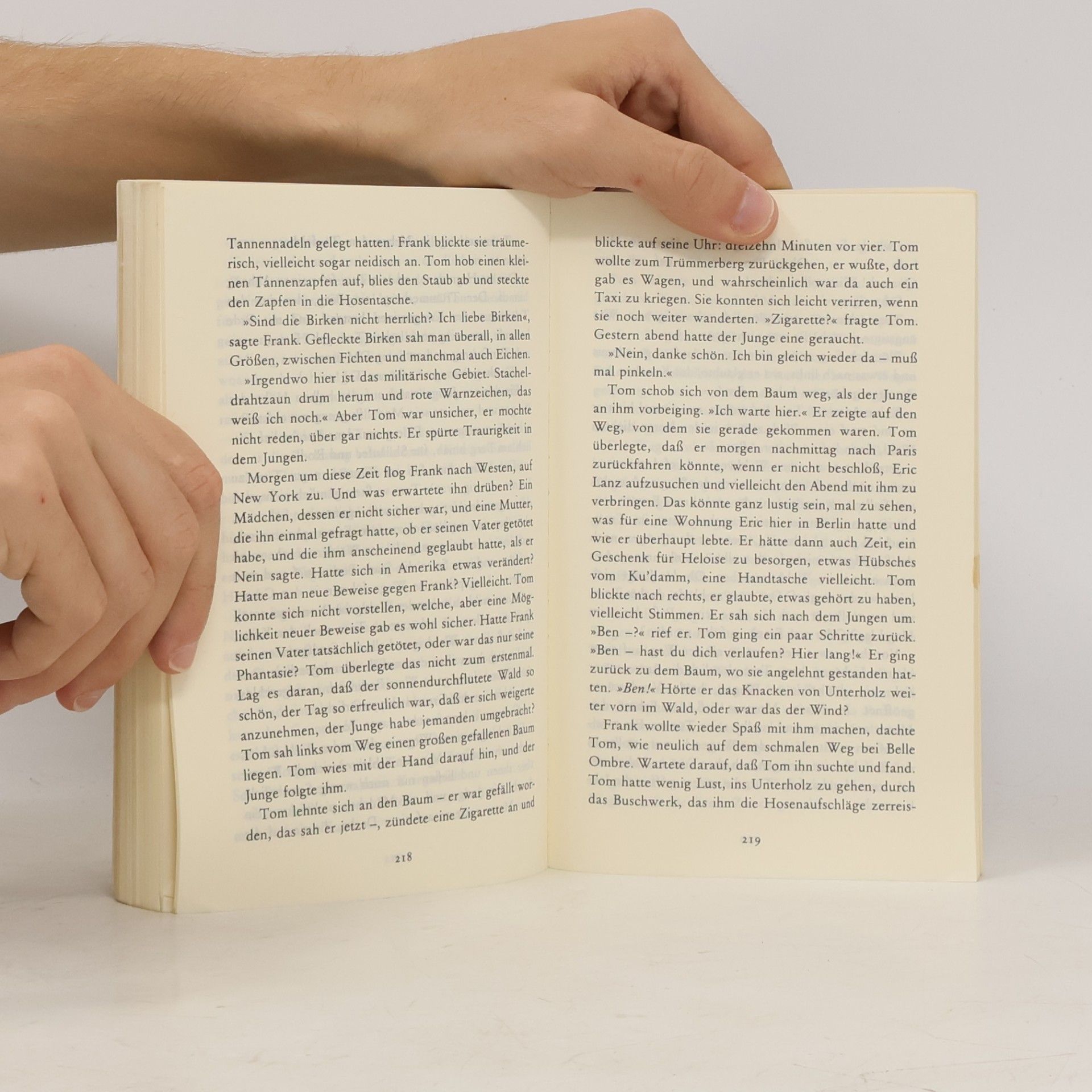Patricia Highsmith Der Junge, der Ripley folgte