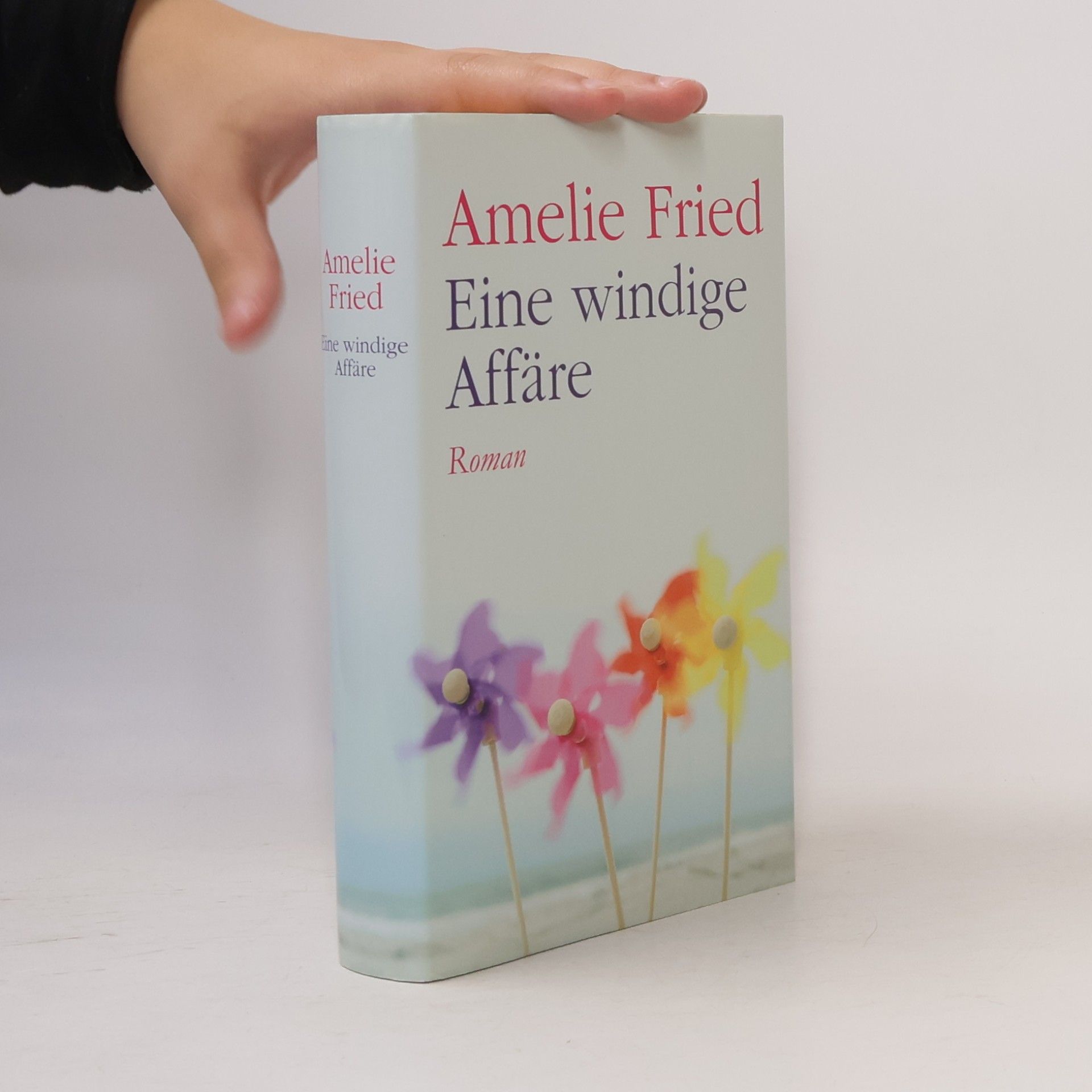 Amelie Fried Eine windige Affäre