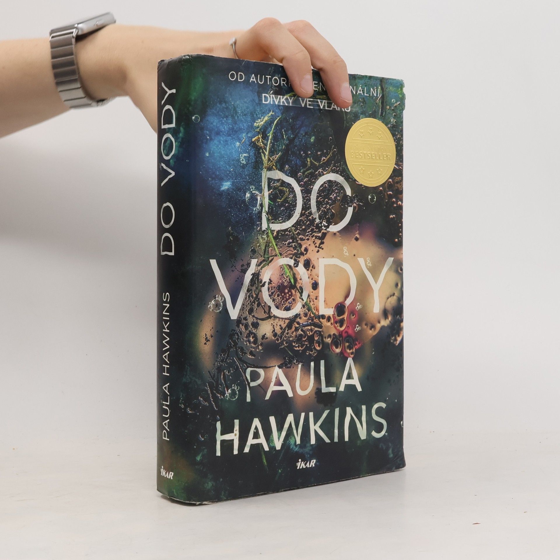 Paula Hawkinsová Do vody