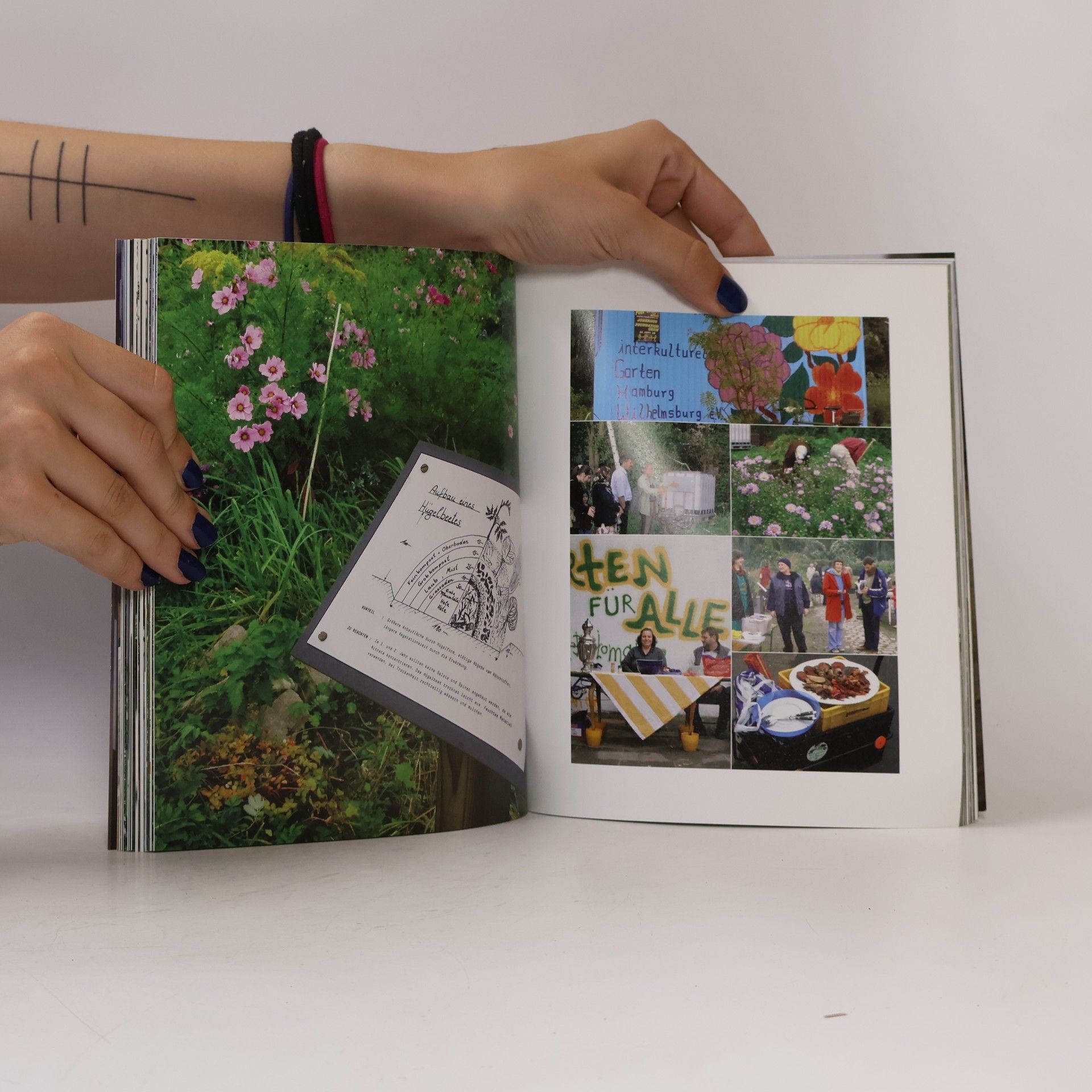 Harald Lemke Culture - nature