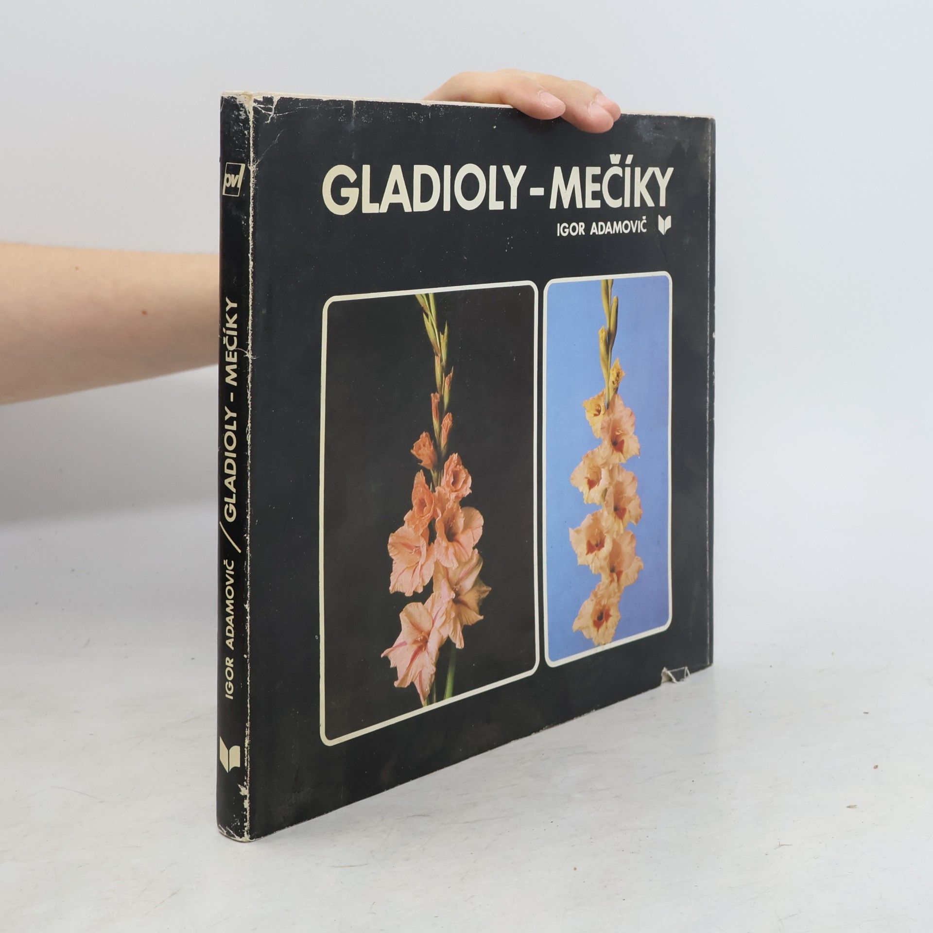 Igor Adamovič Gladioly-mečíky