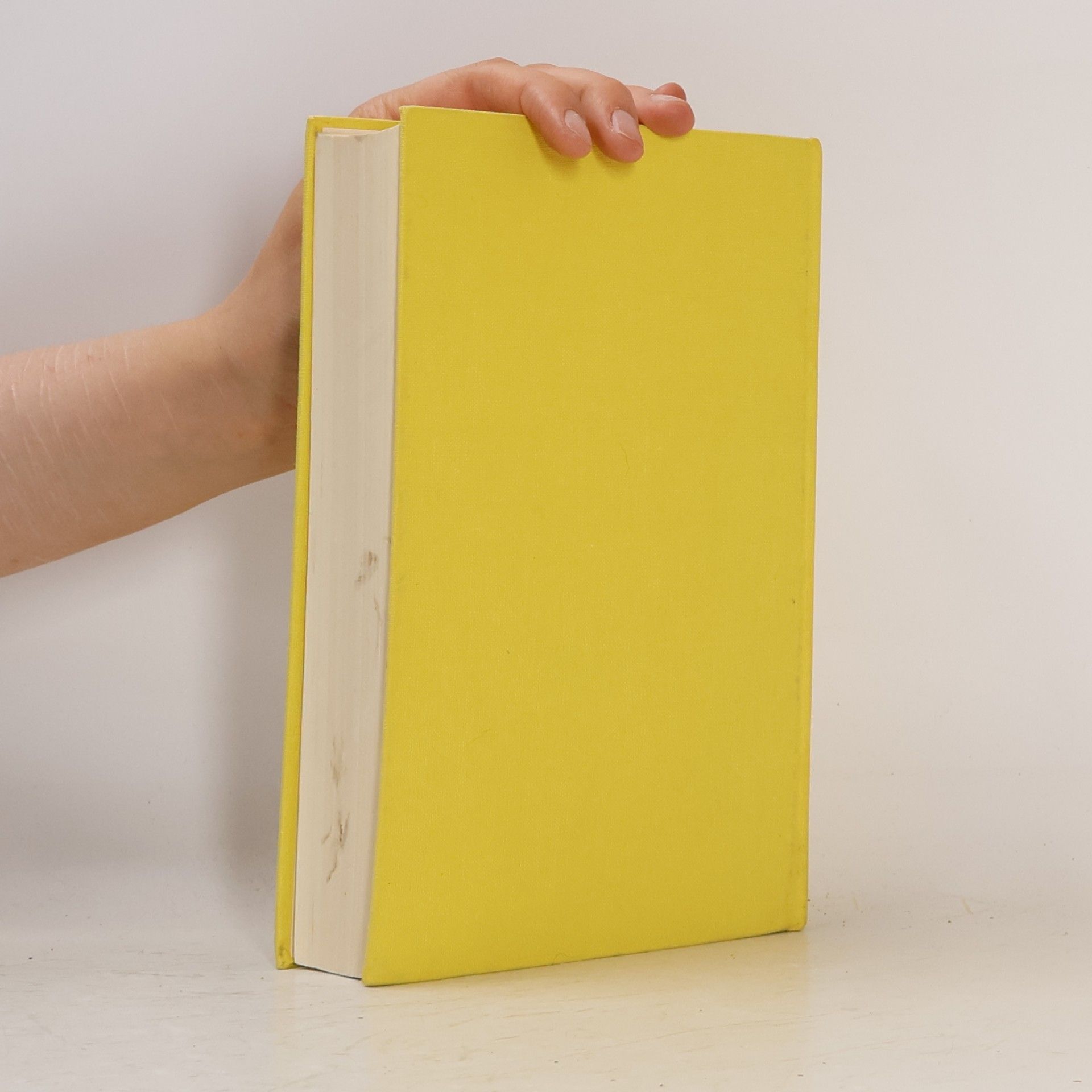 Irving Stone Die Träume leben