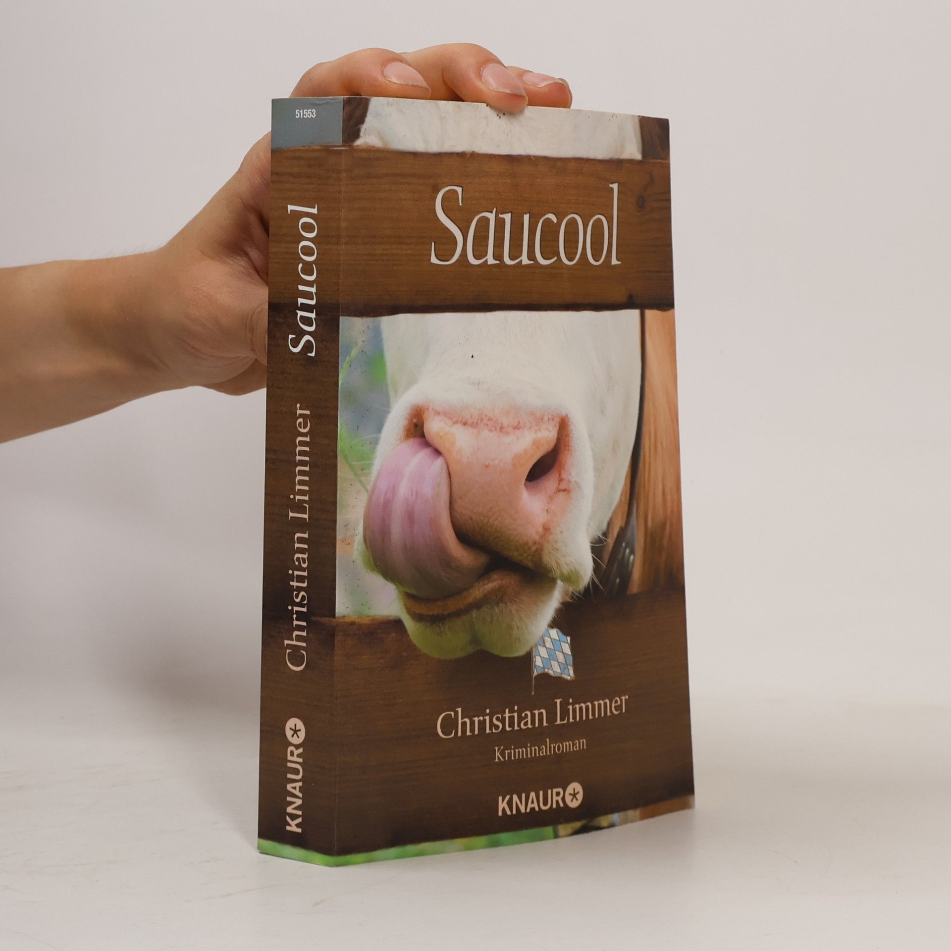 Christian Limmer Saucool