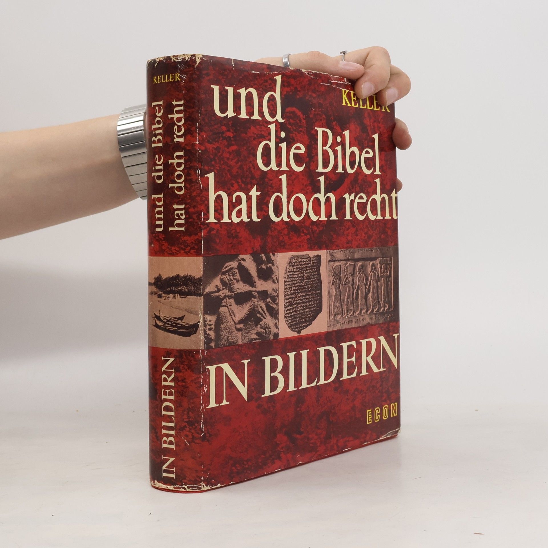 Werner Keller Und die Bibel hat doch recht in Bildern