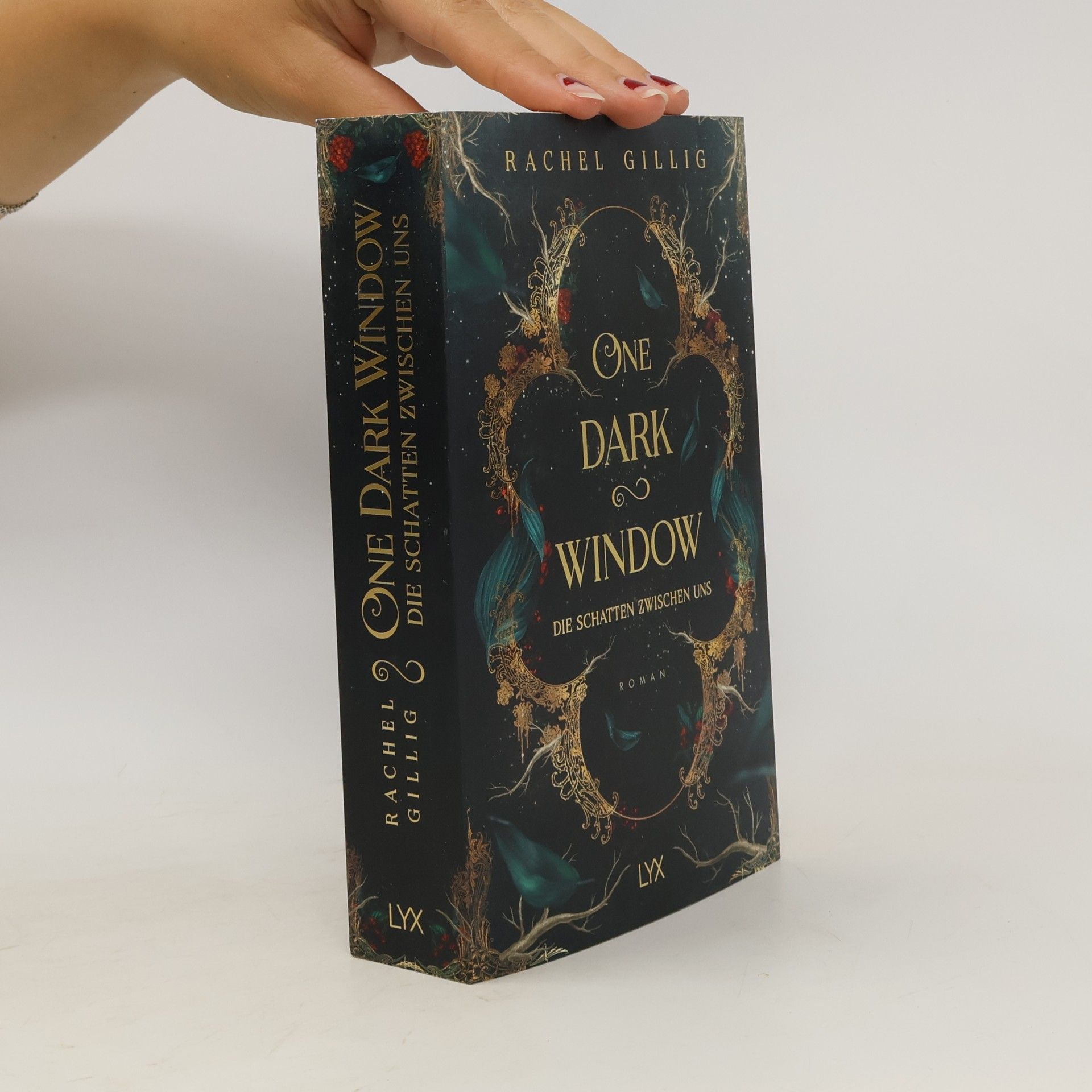 Rachel Gillig One Dark Window - Die Schatten zwischen uns