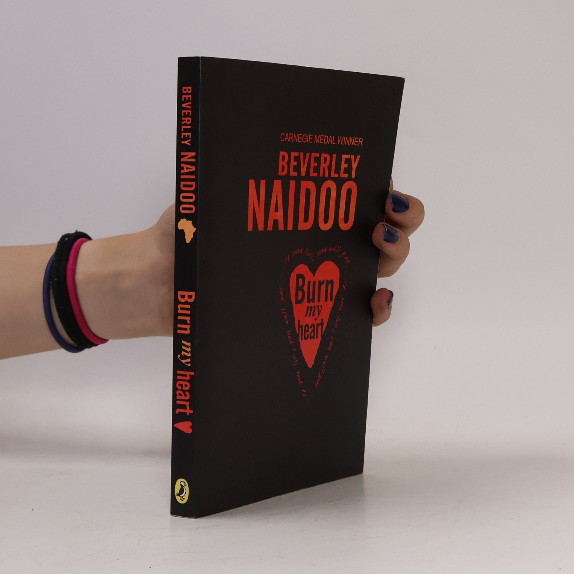 Beverley Naidoo Burn My Heart