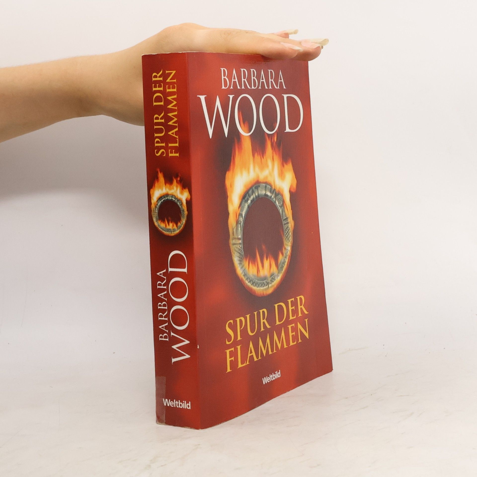 Barbara Wood Spur der Flammen