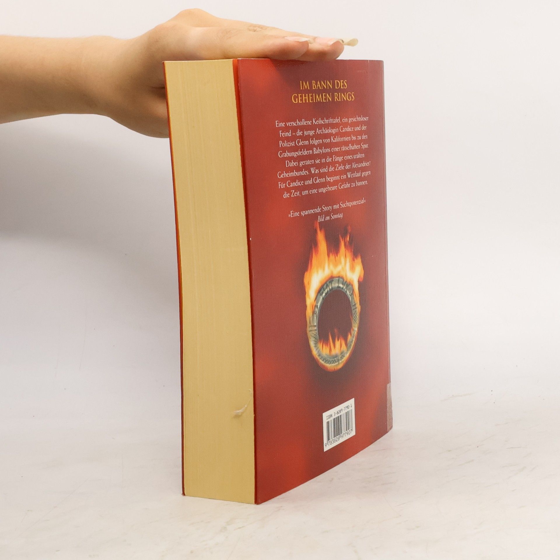Barbara Wood Spur der Flammen
