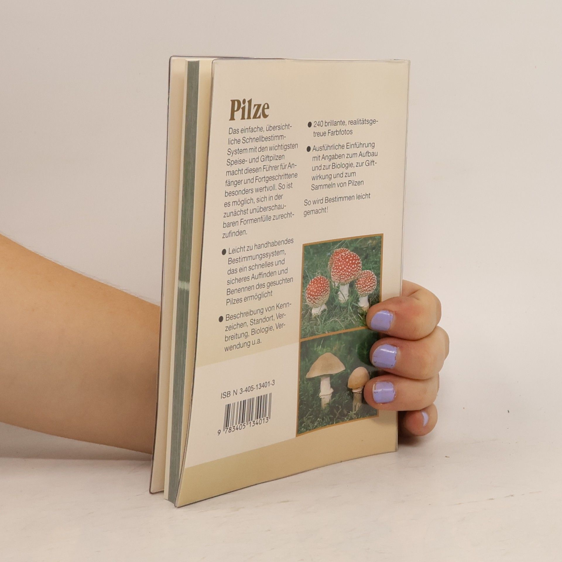 Ewald Gerhardt Pilze