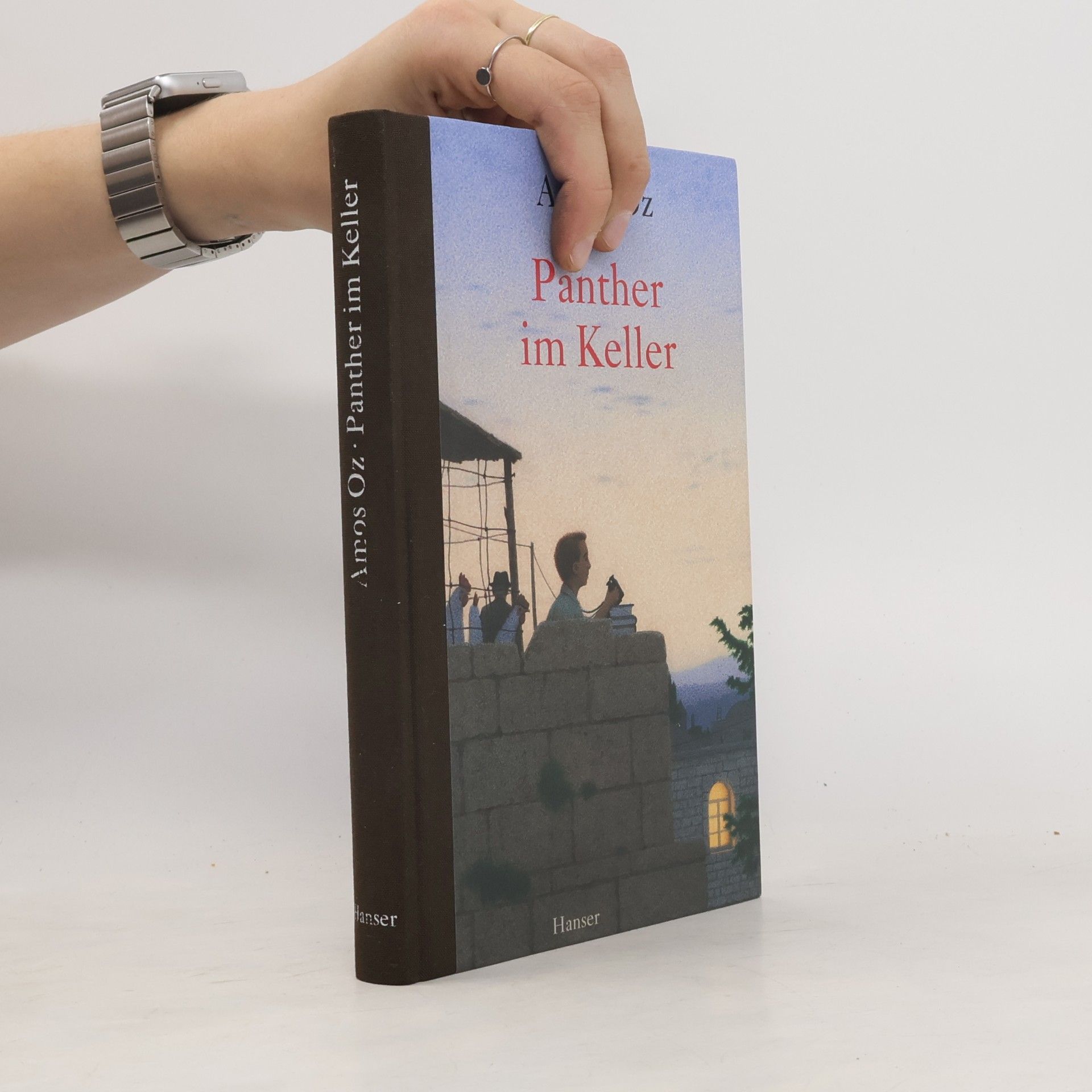 Amos Oz Panther im Keller
