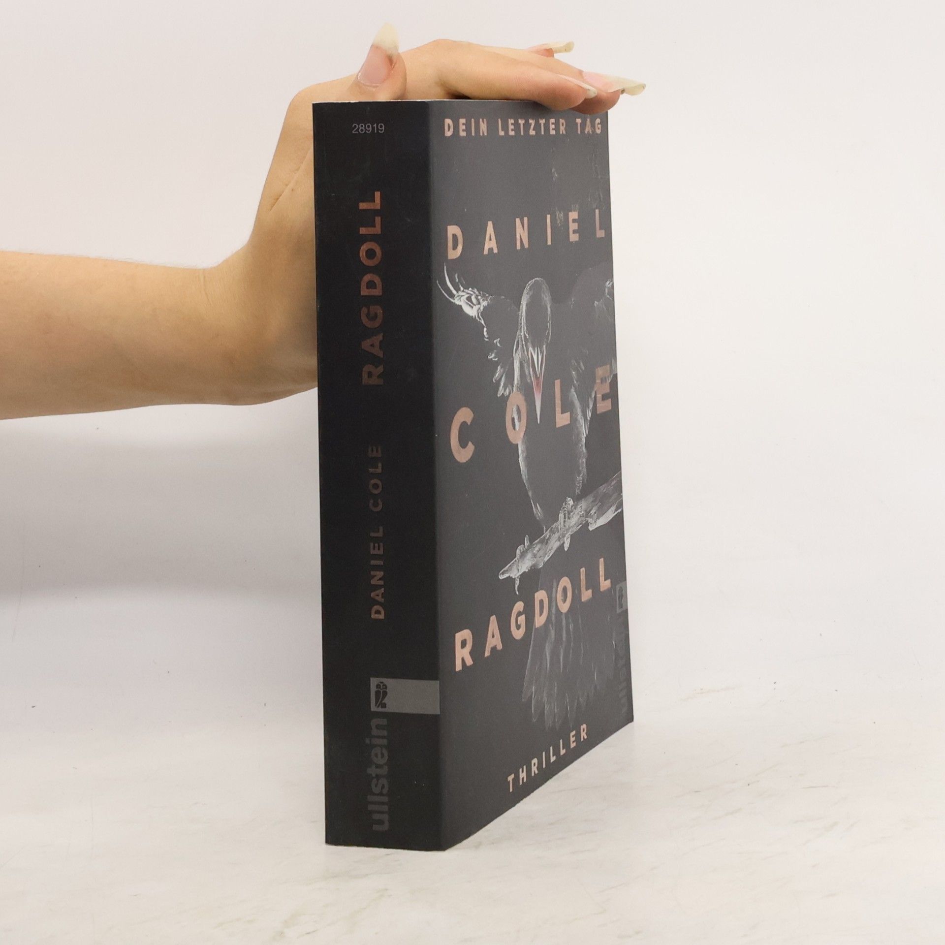 Daniel Cole Ragdoll