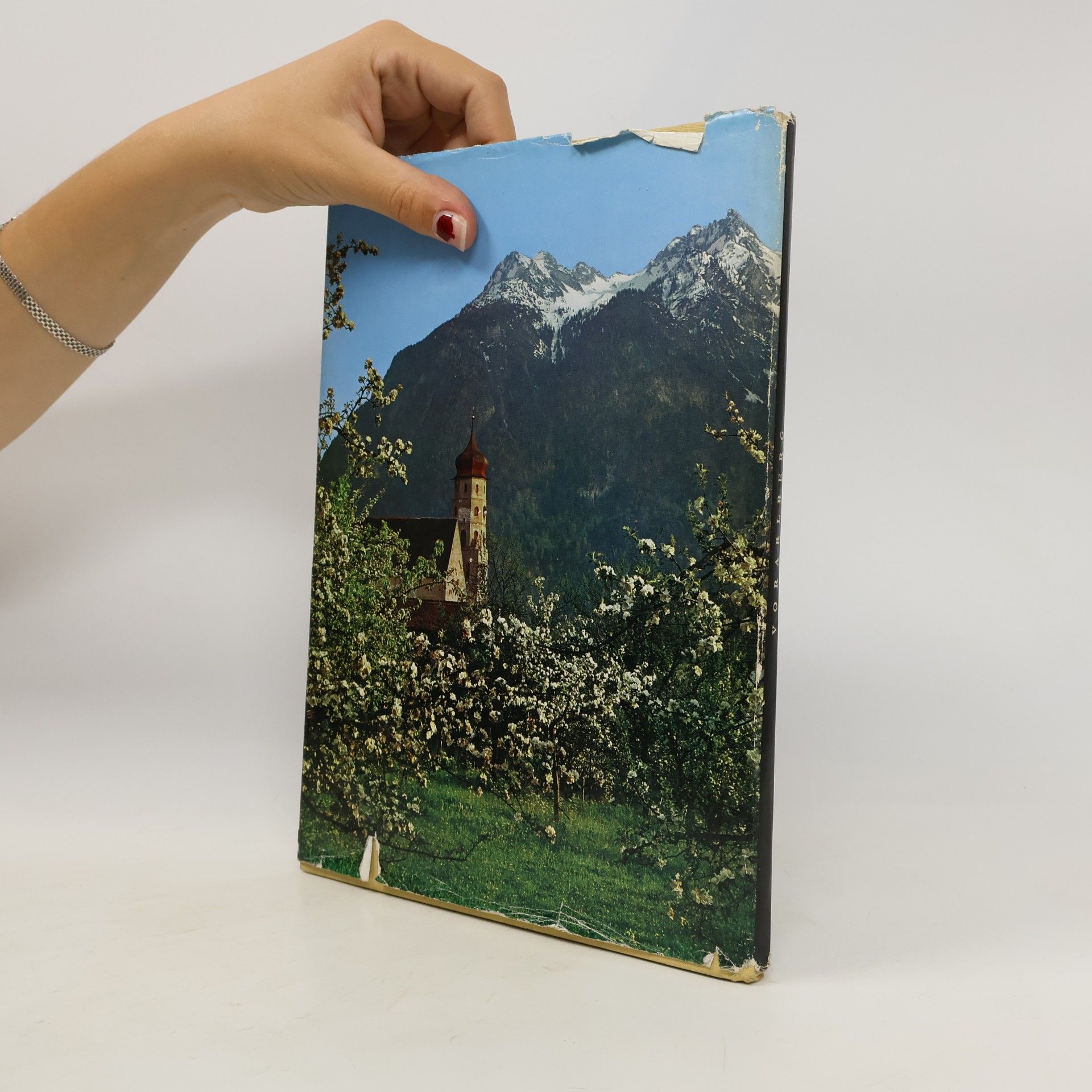 Auteurscollectief Vorarlberg