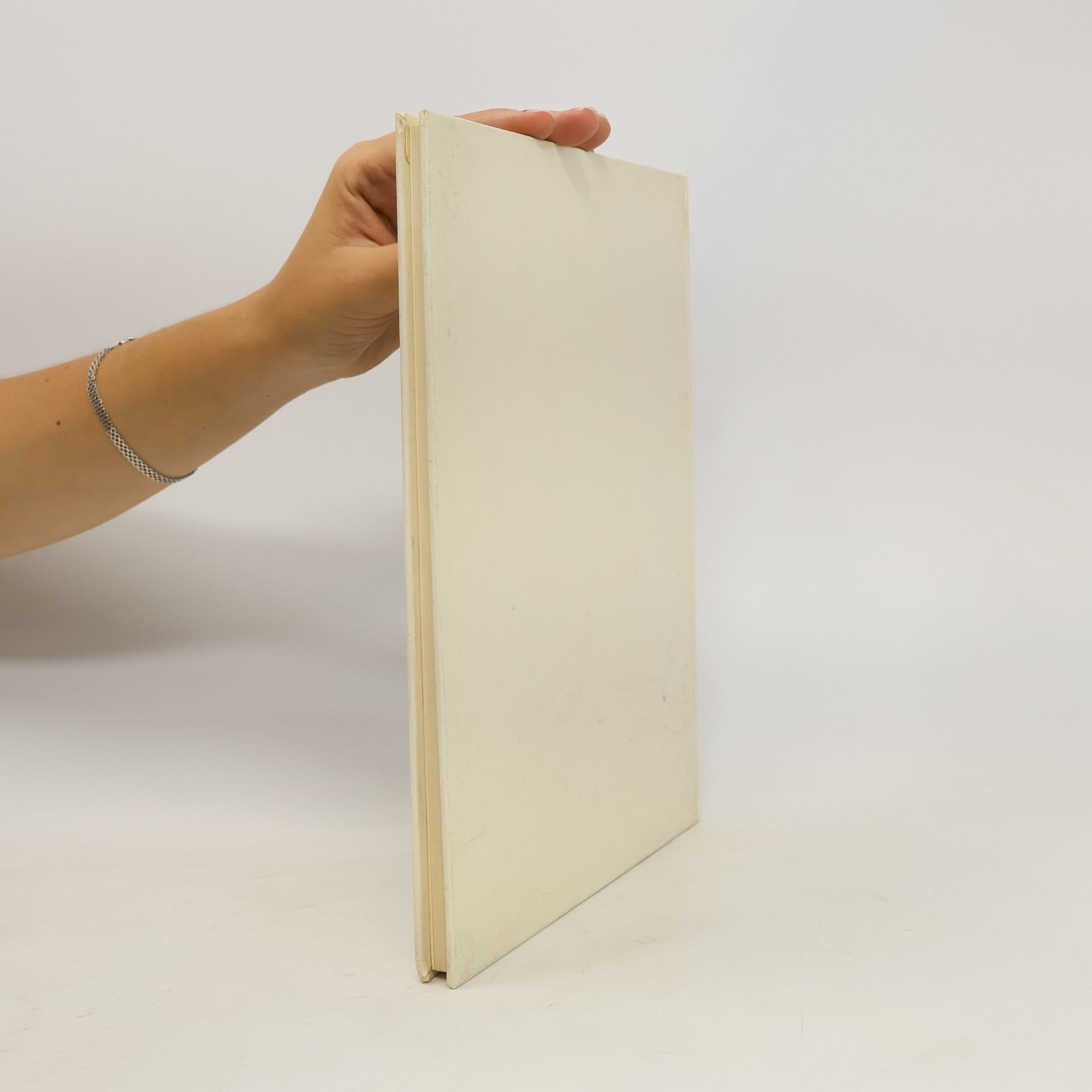 Lies de Jonge Bild-Kurs-Buch Gipstechniken