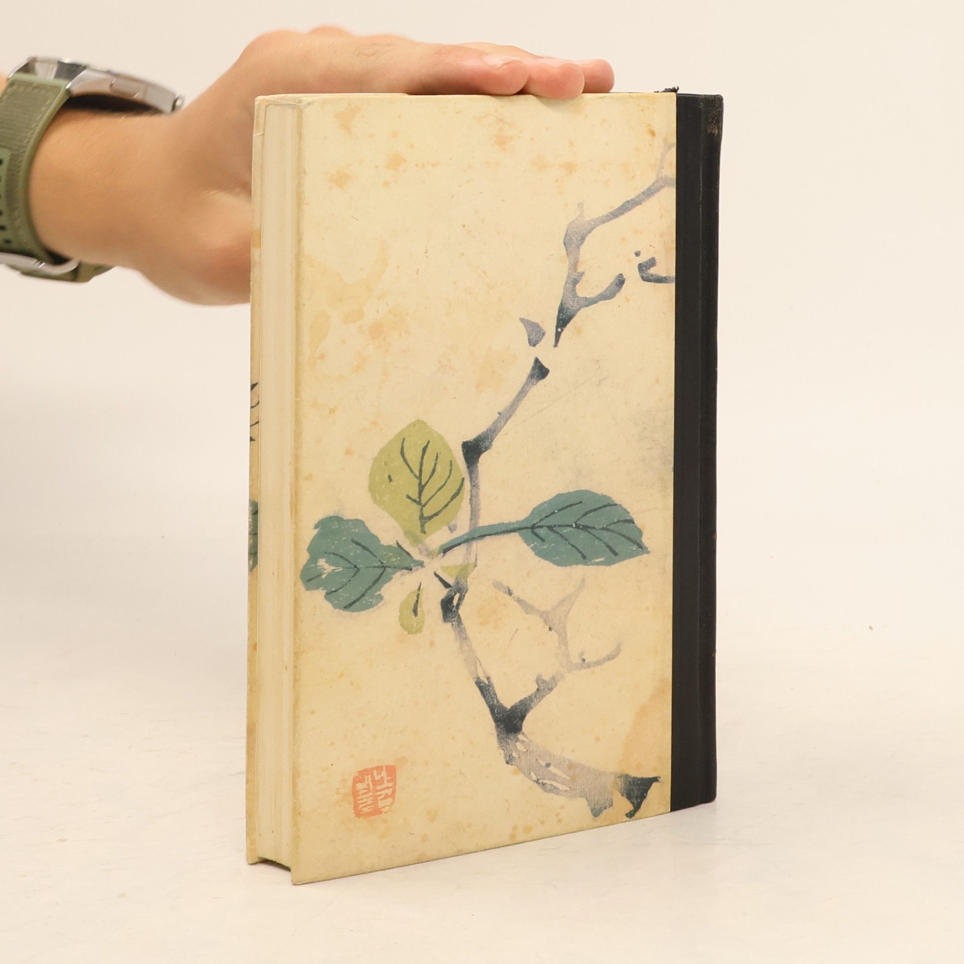 Pearl S. Buck Die Töchter der Madame Liang
