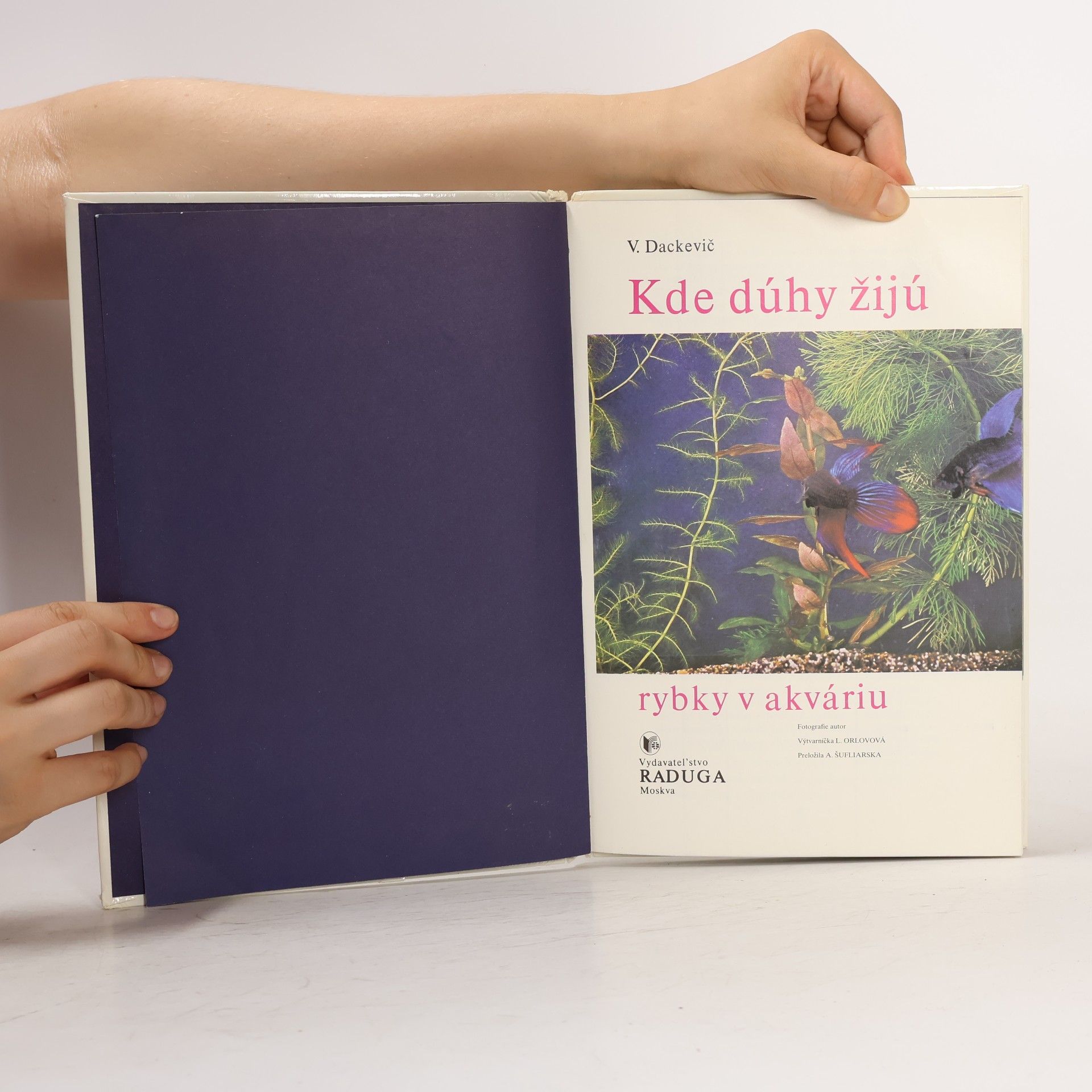 V. Dackevič Kde dúhy žijú. Rybky v akváriu