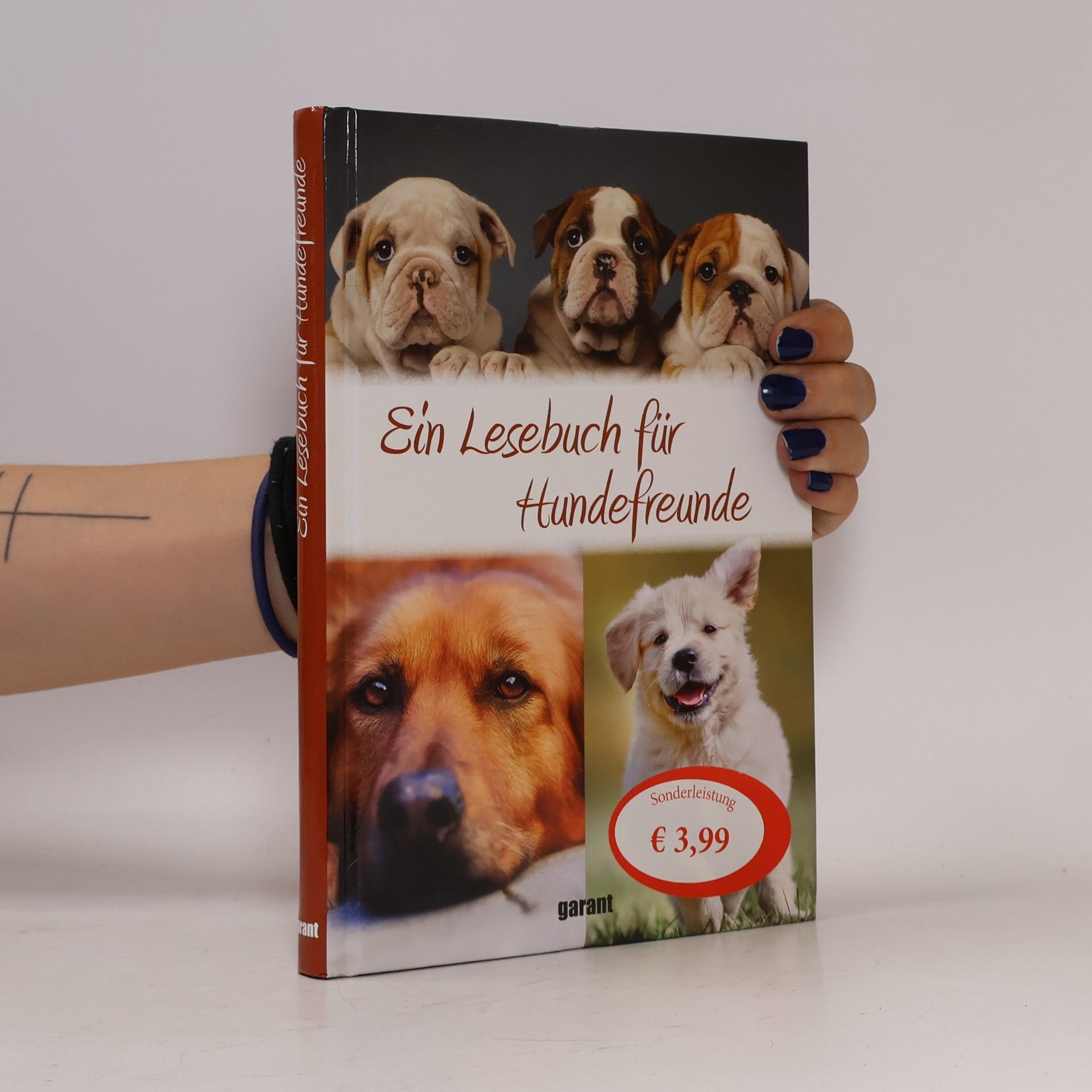 Autorenkollektiv Ein Lesebuch für Hundefreunde