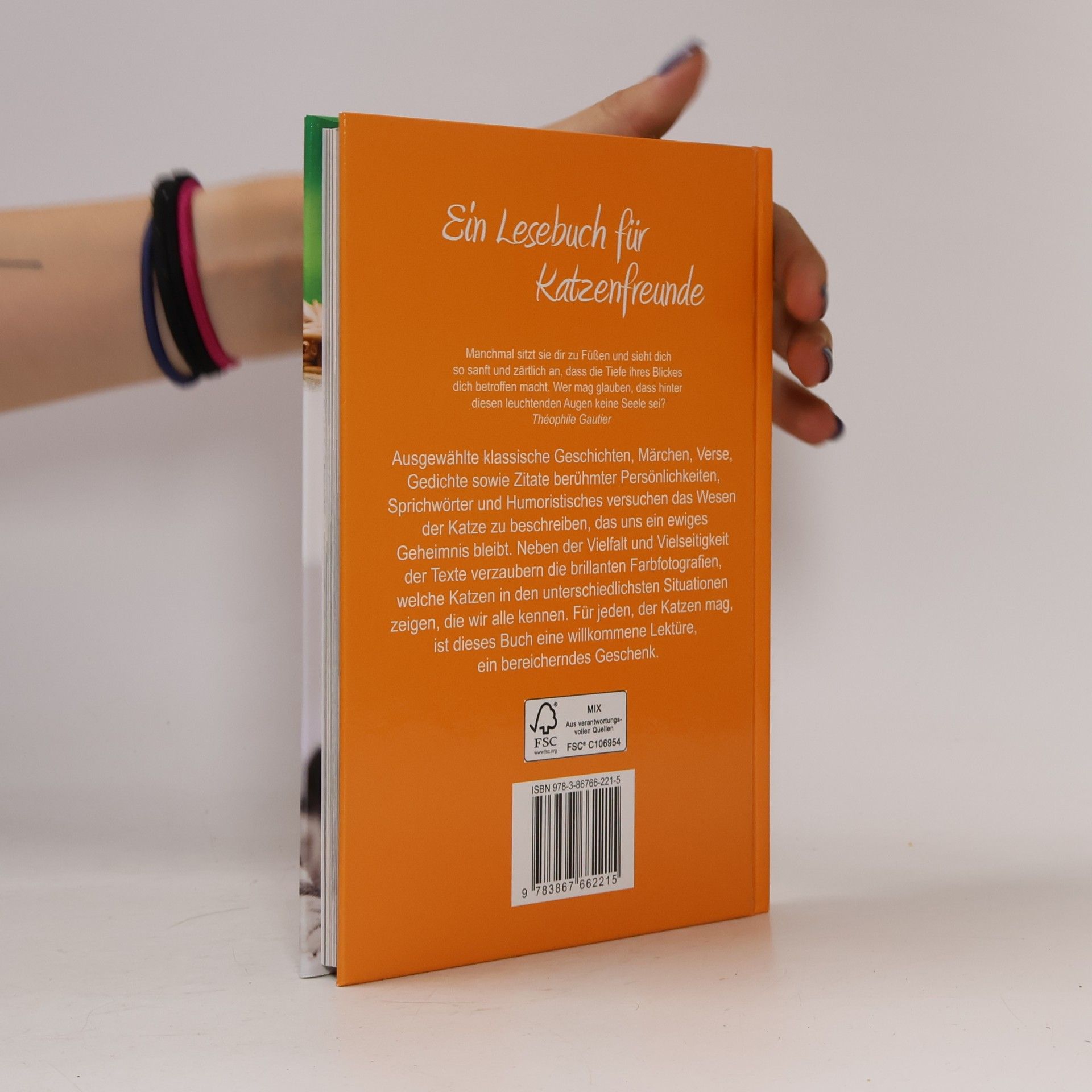 Various authors Ein Lesebuch für Katzenfreunde