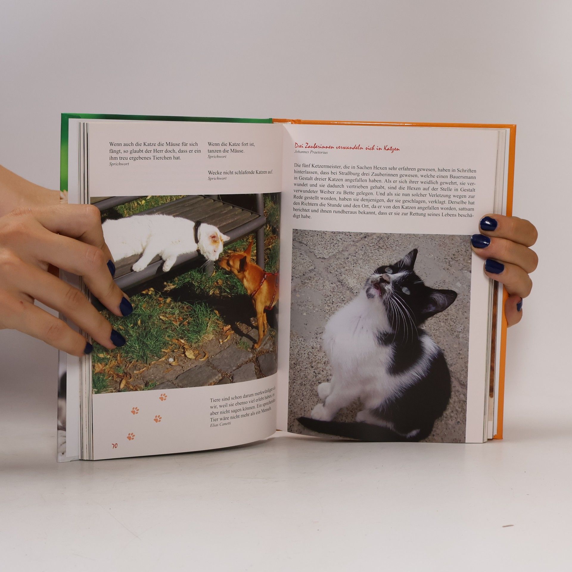 Various authors Ein Lesebuch für Katzenfreunde