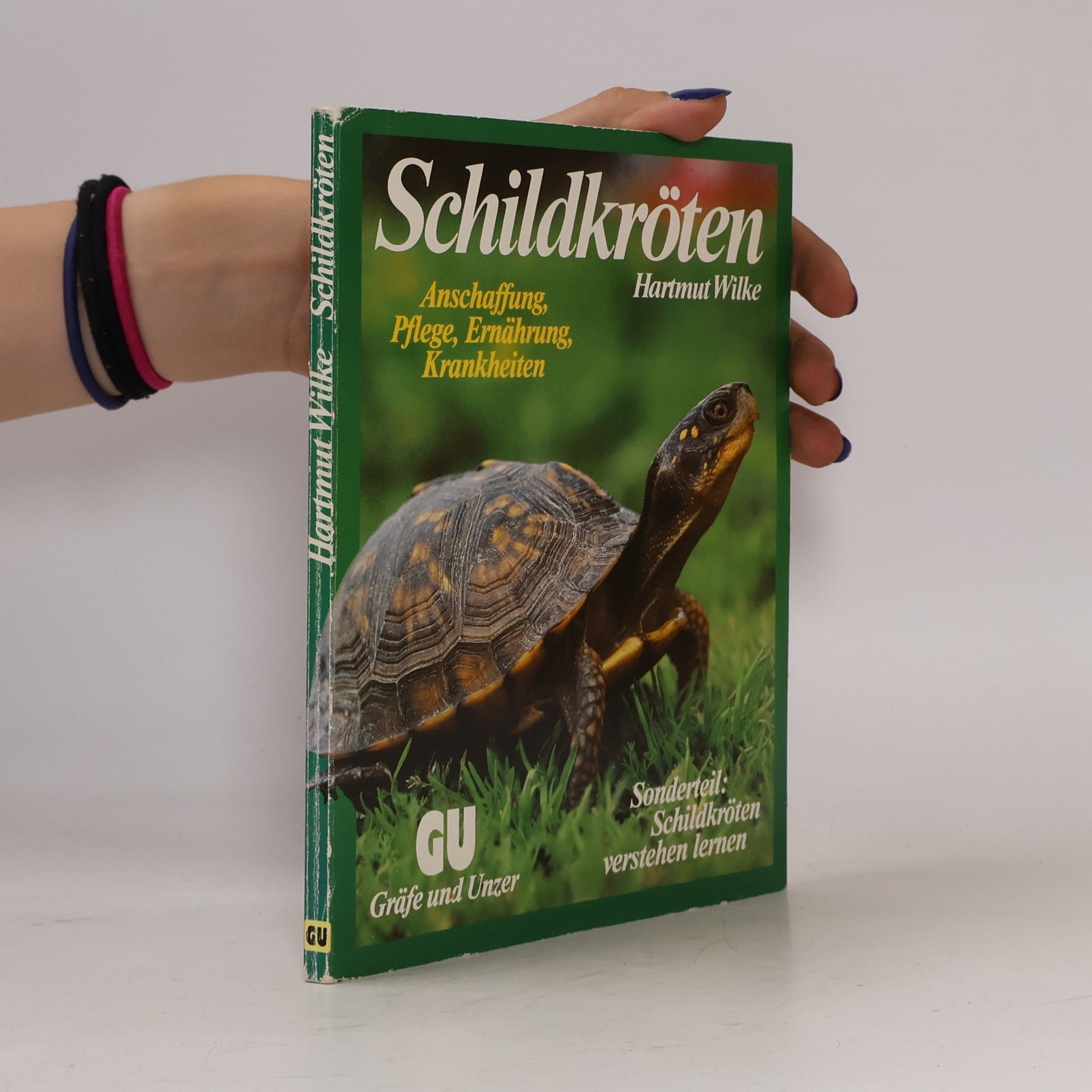 Hartmut Wilke Schildkröten