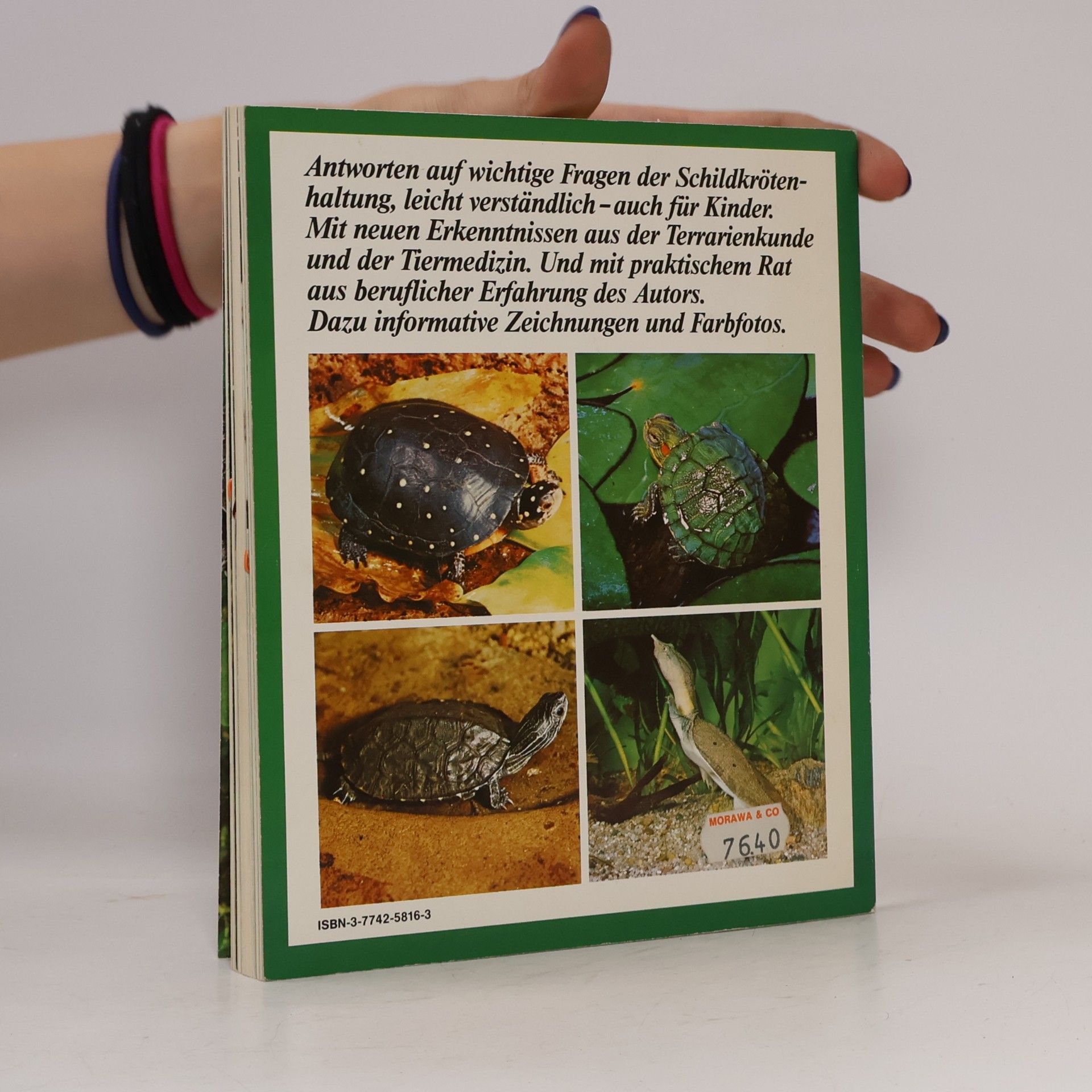 Hartmut Wilke Schildkröten