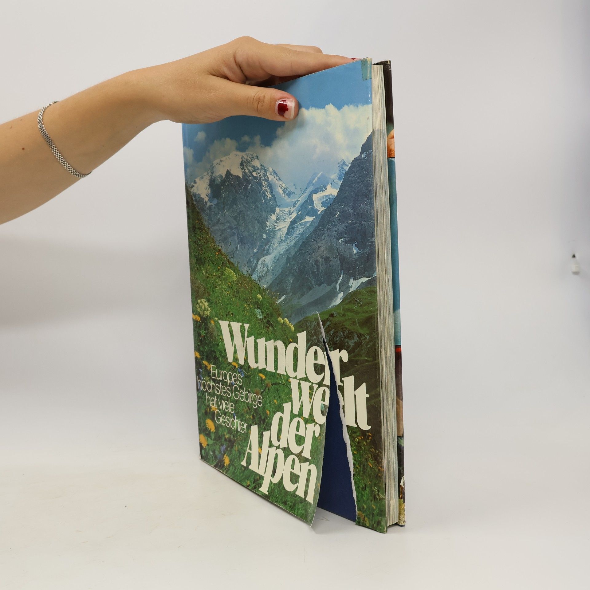 Autorenkollektiv Wunderwelt der Alpen