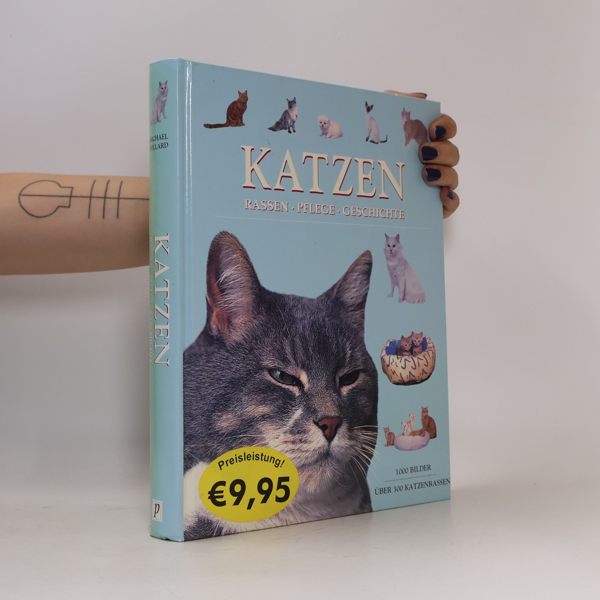 Katzen
