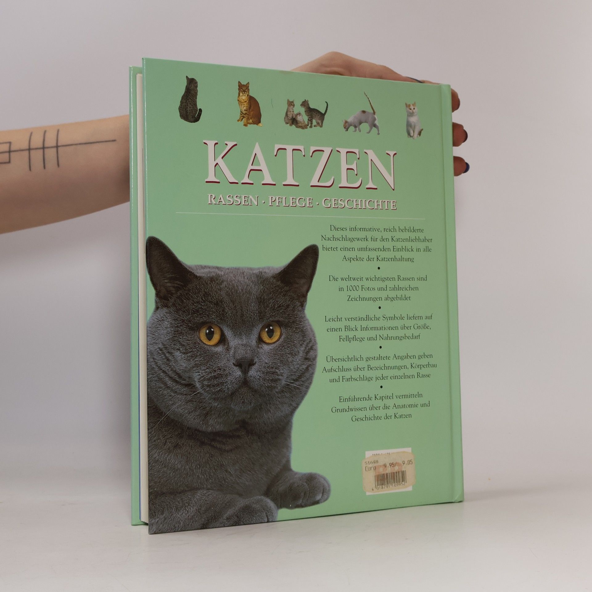 Michael Pollard Katzen