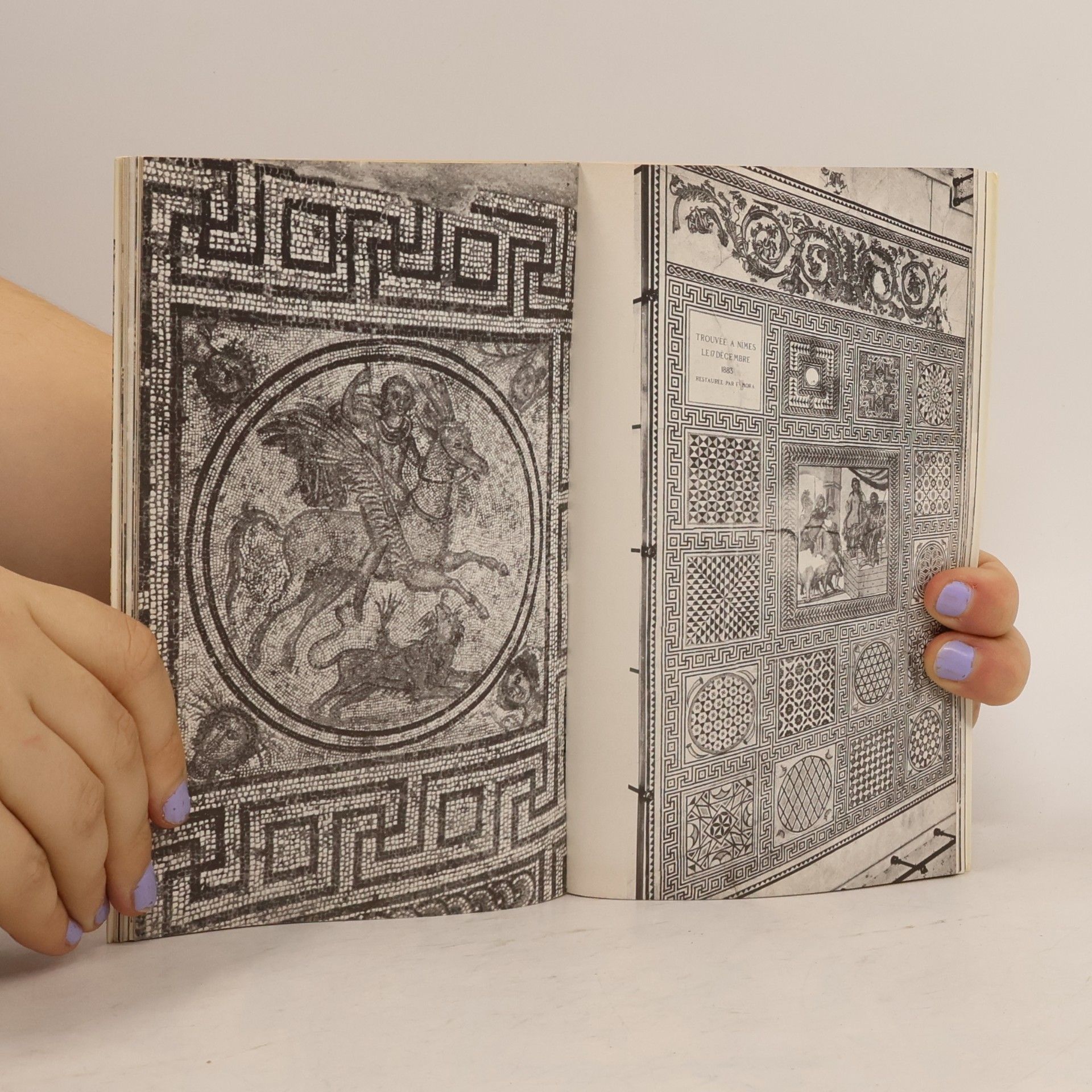 Autores varios Nîmes