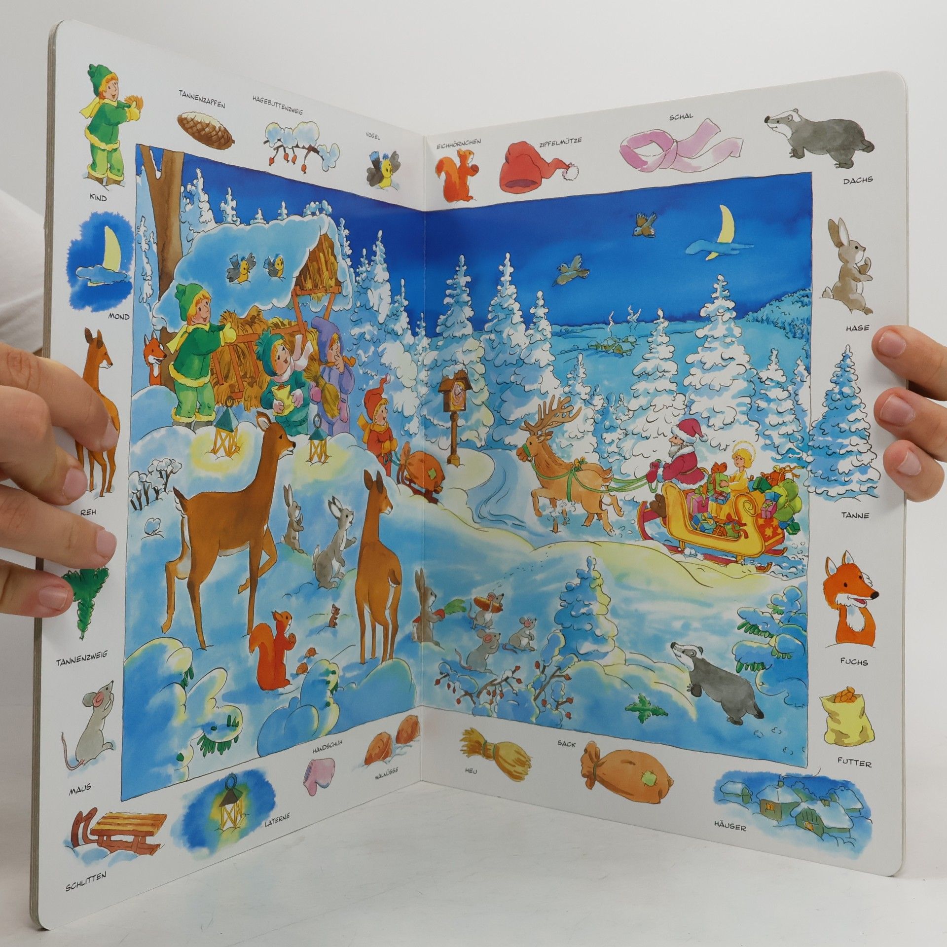 Mein grosses Weihnachtswimmelbuch