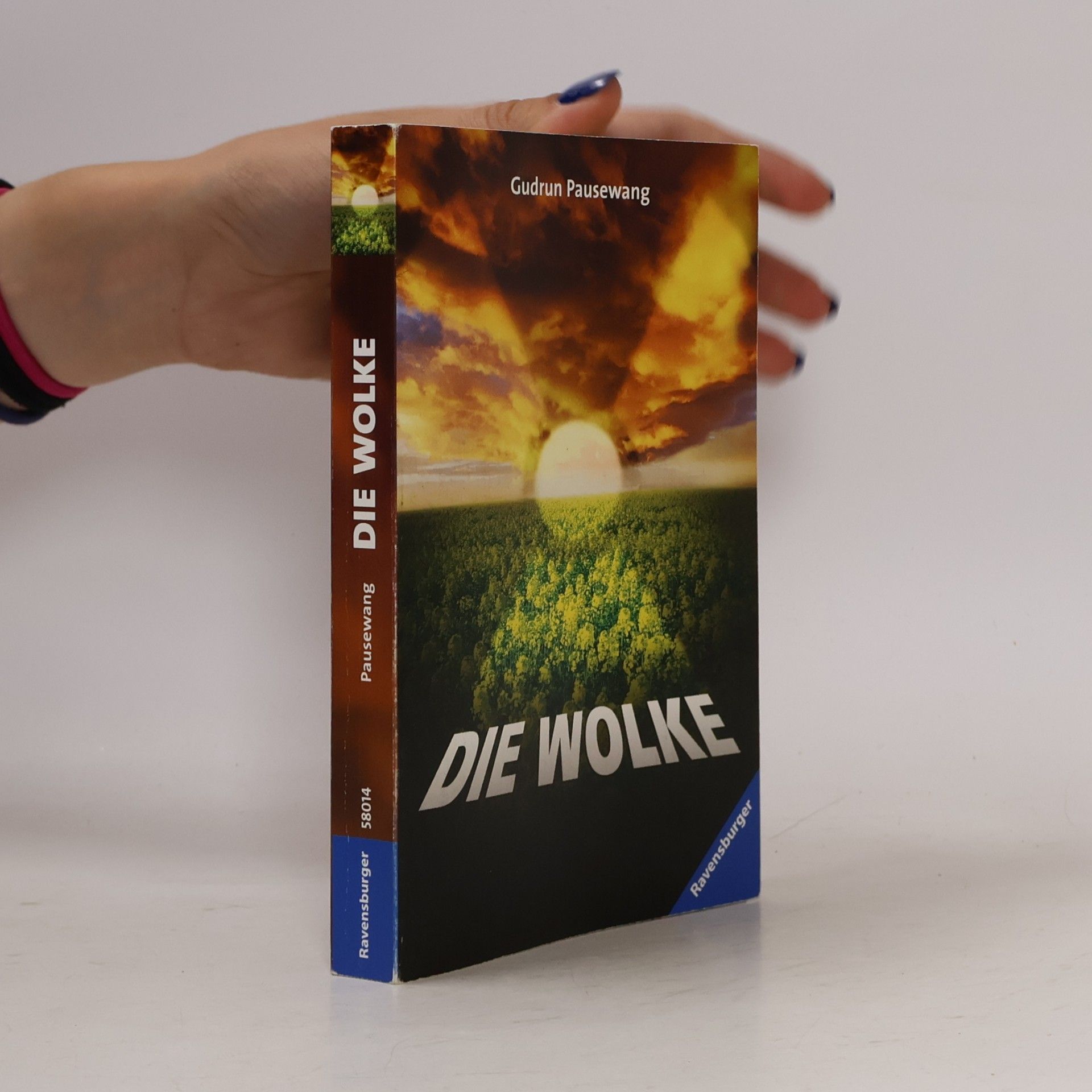 Gudrun Pausenwang Die Wolke