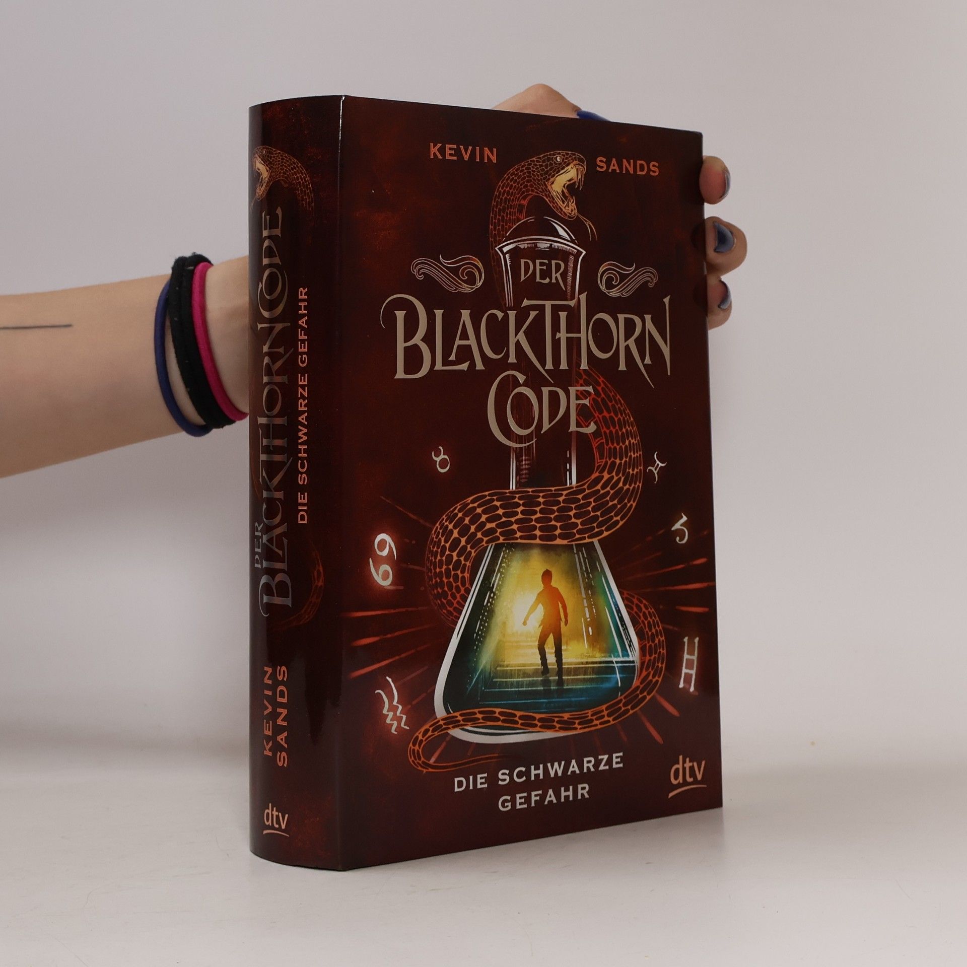 Kevin Sands Der Blackthorn Code - die schwarze Gefahr