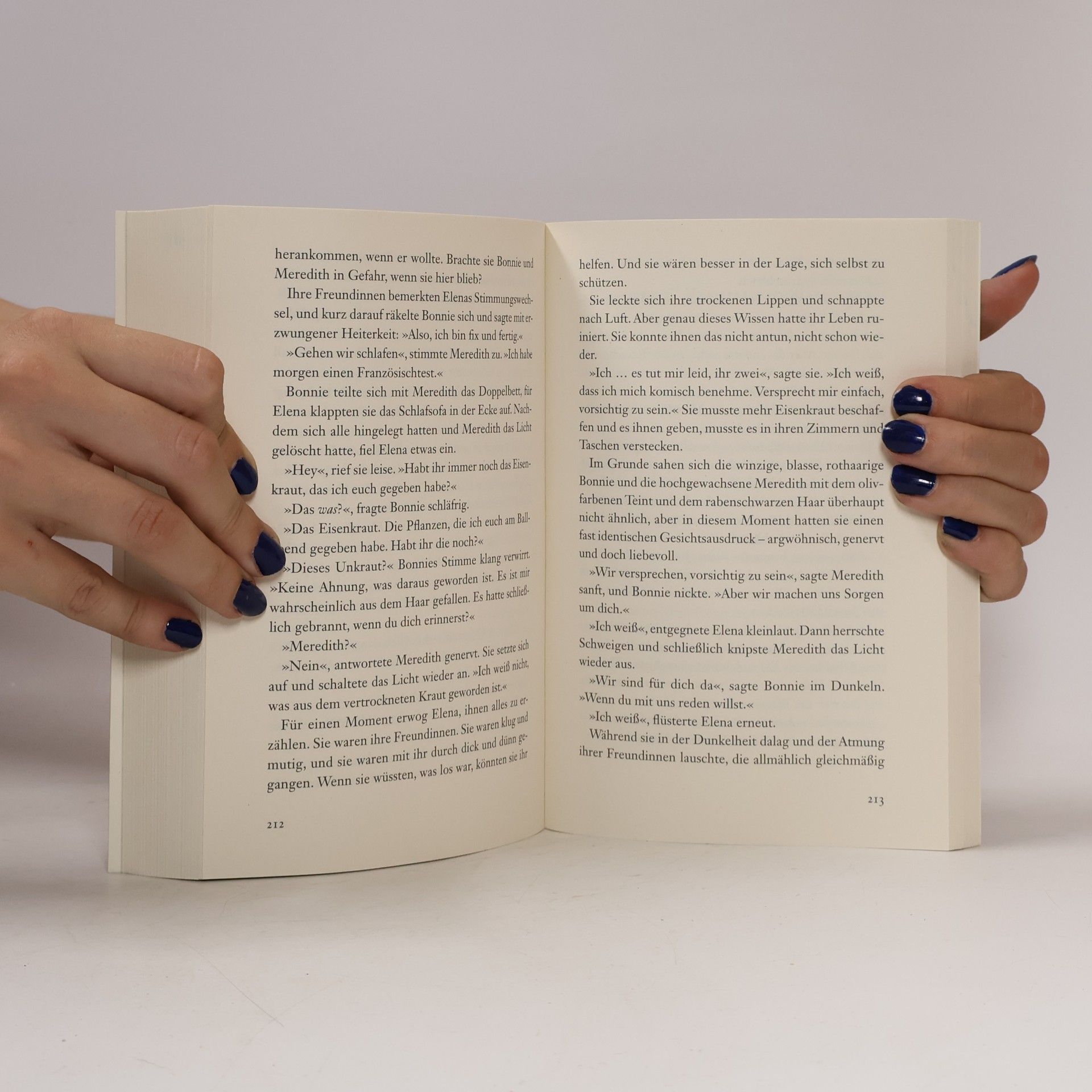L. J. Smithová Tagebuch eines Vampirs. Im Licht der Ewigkeit