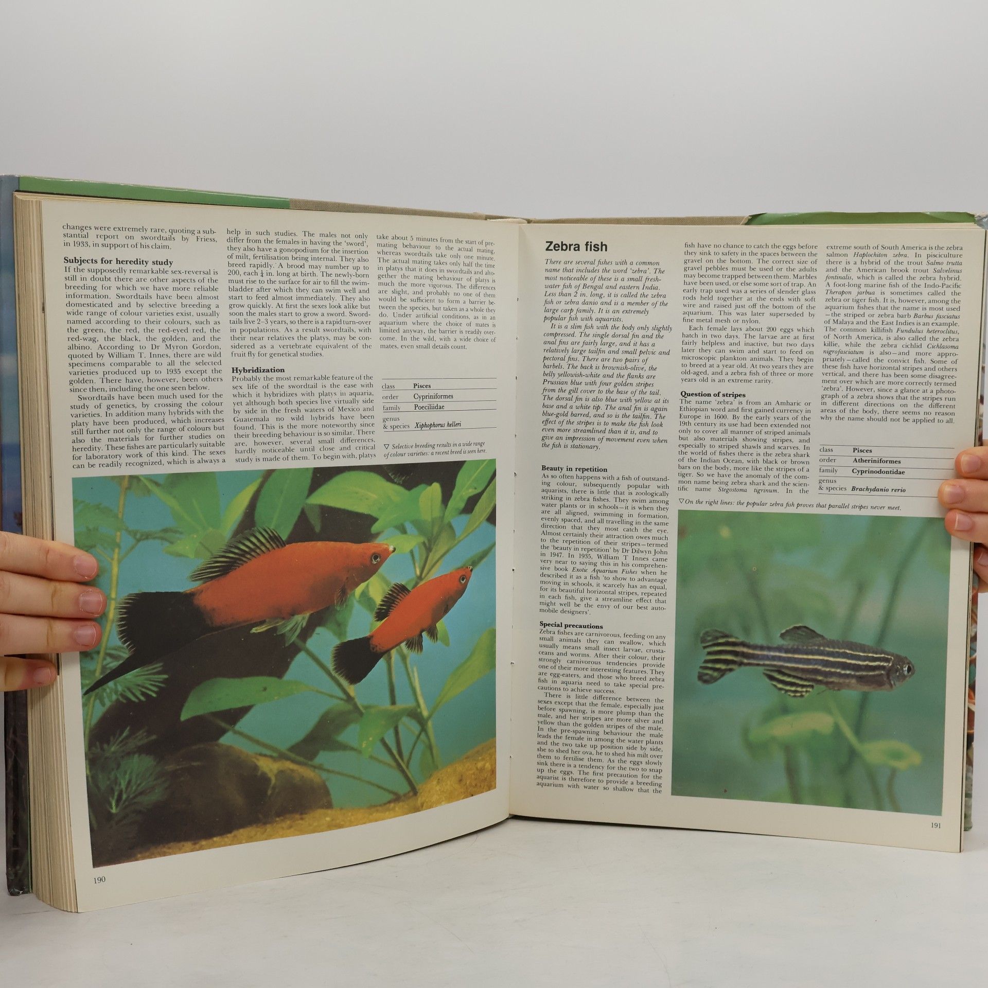 Maurice Burton Encyclopedia of the Animal Kingdom