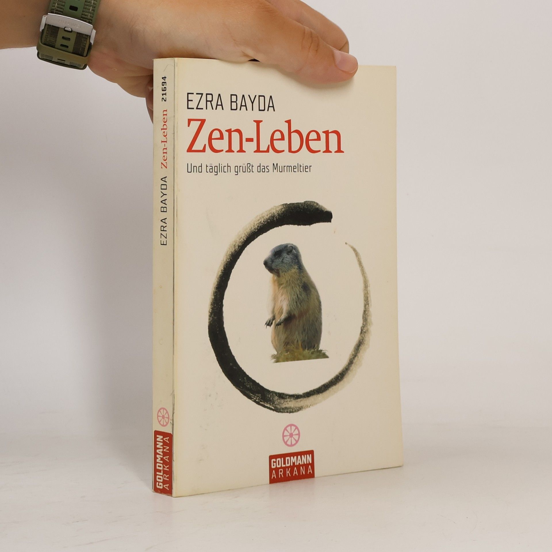 Ezra Bayda Zen-Leben. Und täglich grüßt das Murmeltier