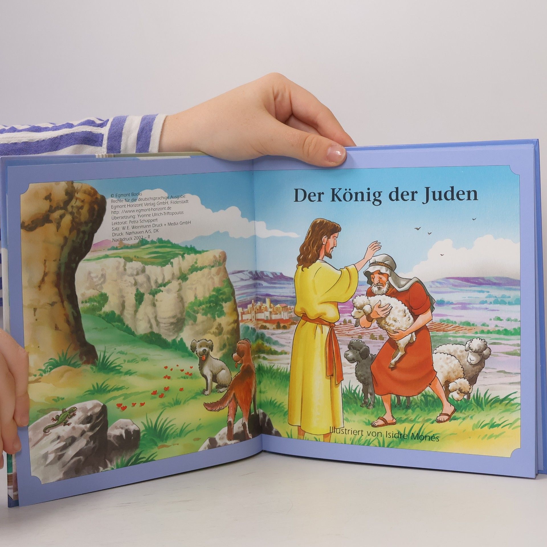 Autorenkollektiv Der König der Juden