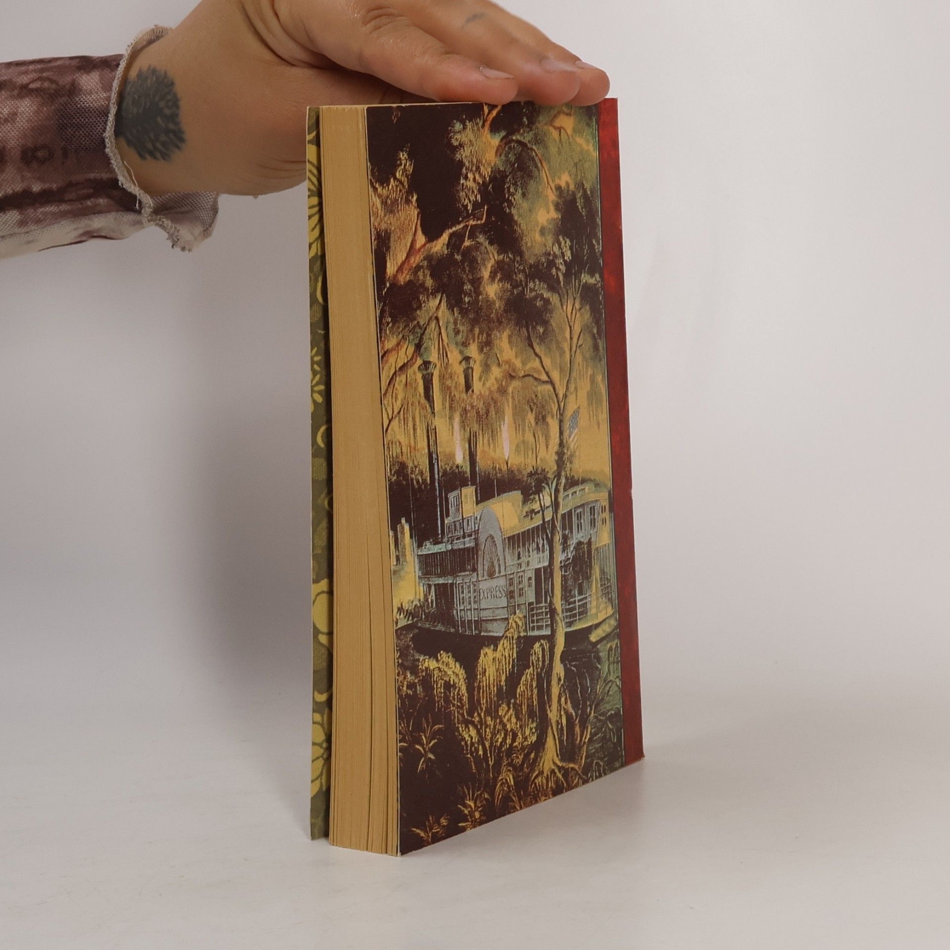 Mark Twain Die Abenteuer von Tom Sawyer
