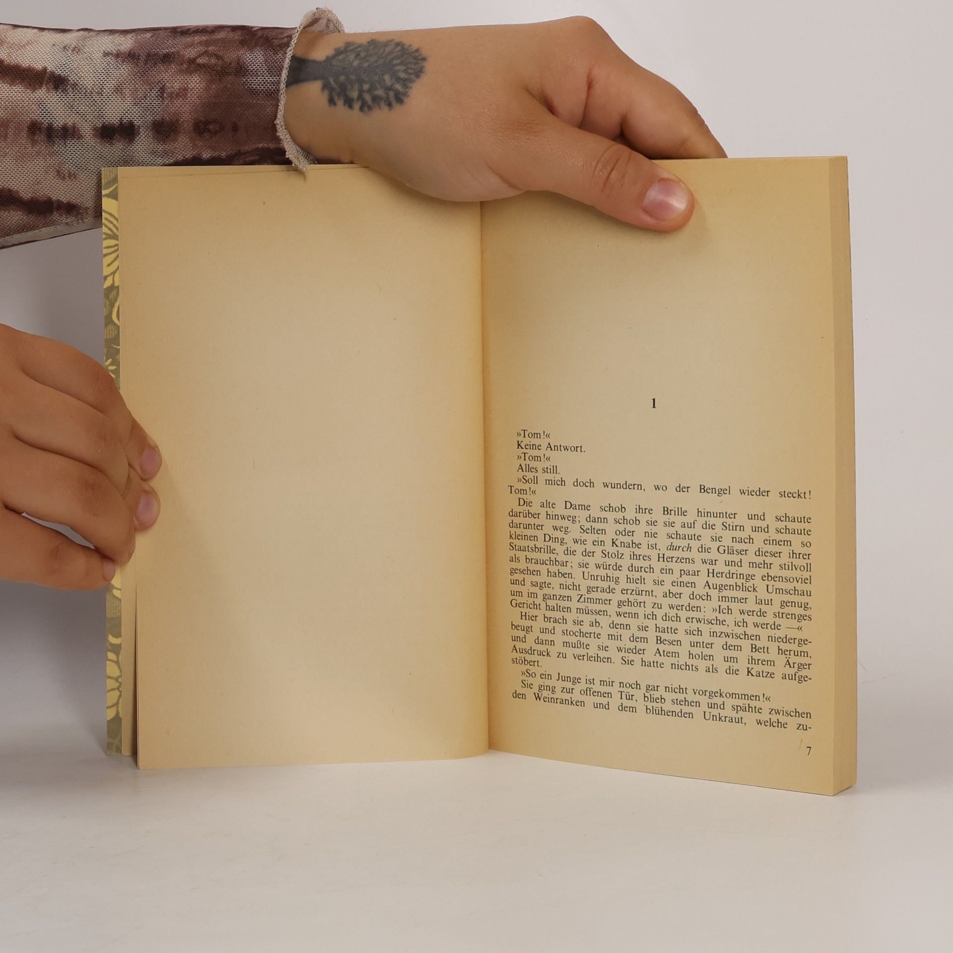 Mark Twain Die Abenteuer von Tom Sawyer