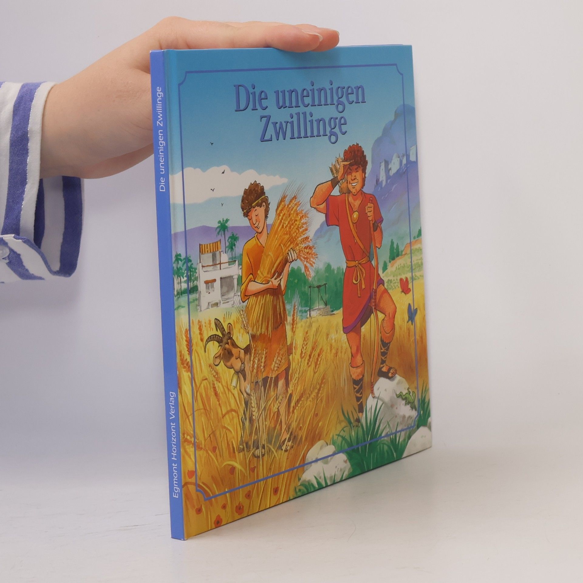 Autorenkollektiv Die uneinigen Zwillinge