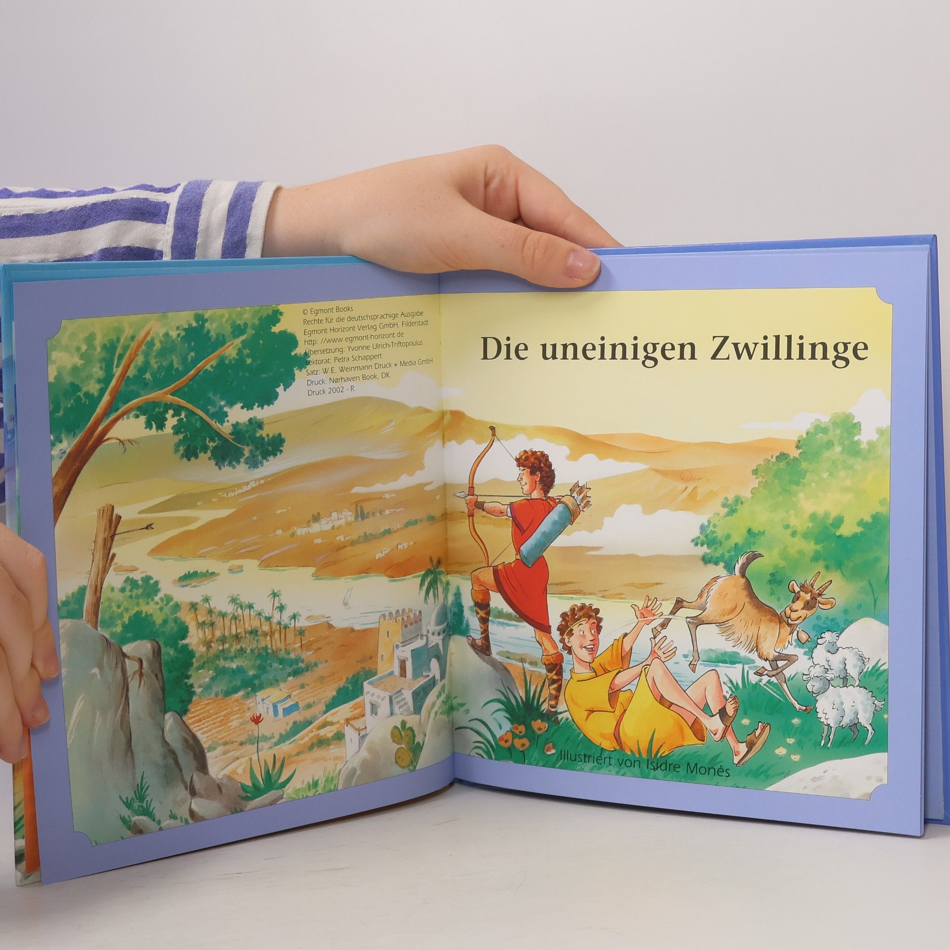 Autorenkollektiv Die uneinigen Zwillinge