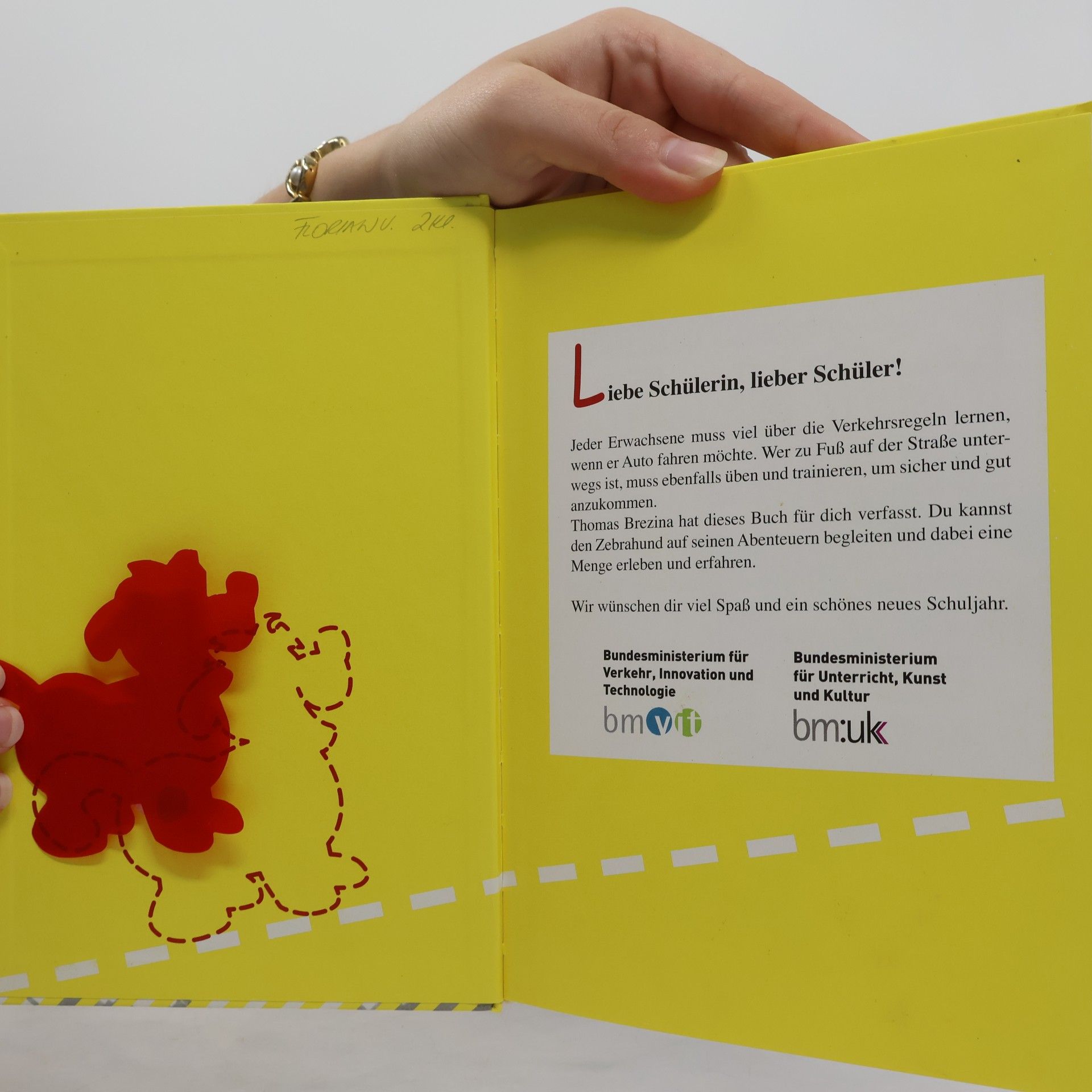 Thomas Brezina Sicher unterwegs mit Flocki Flott: Die bellende Katze