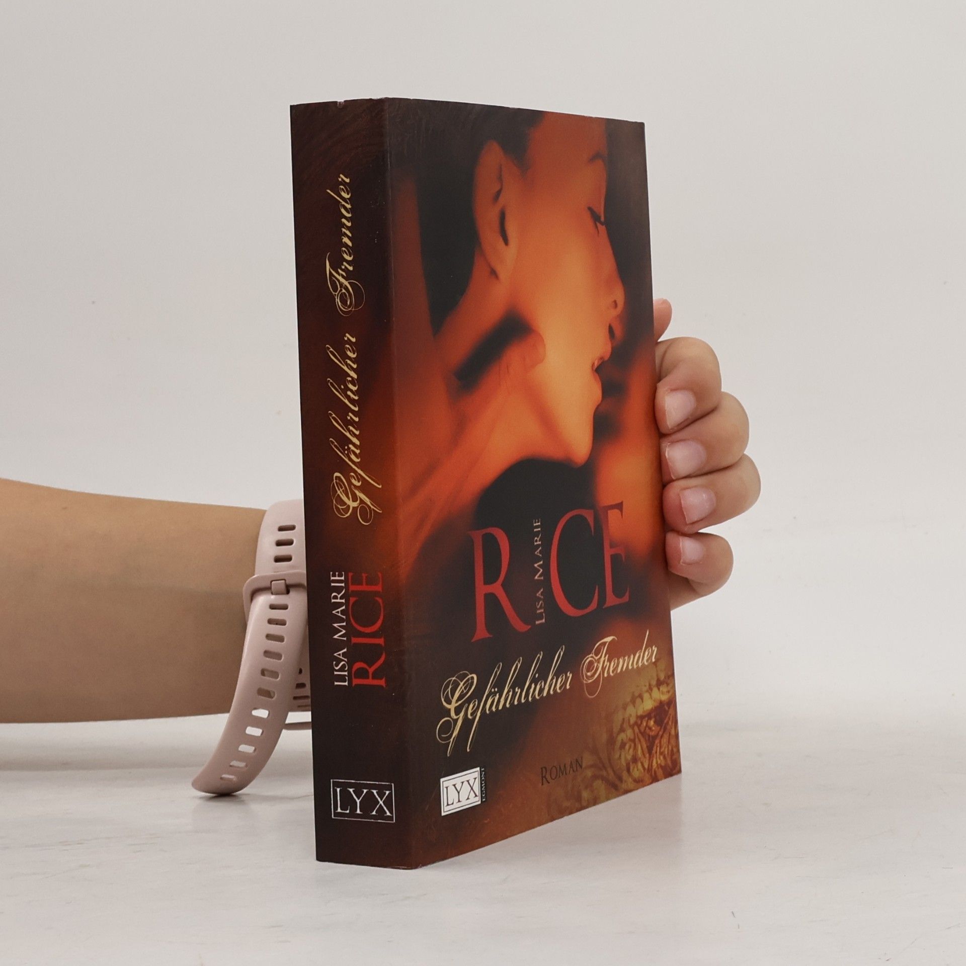 Lisa Marie Rice Gefährlicher Fremder